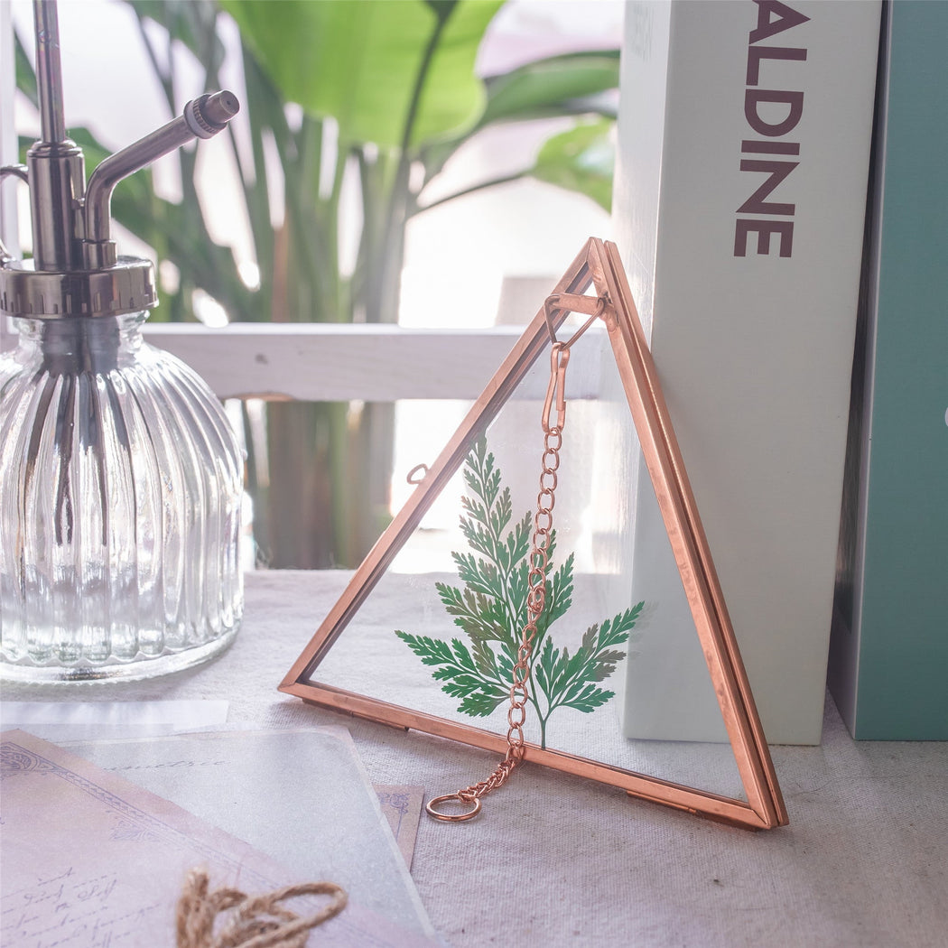 Hanging Triangle Herbarium Copper Glass Frame for Pressed Flowers Dried Flowers Poster - NCYPgarden