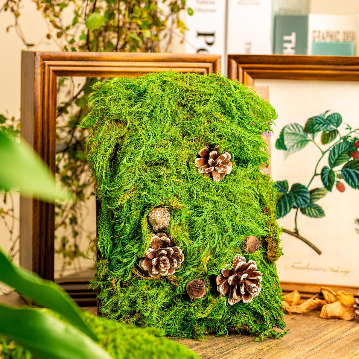 Preserved forever green moss, pole moss Green 20x50cm, for DIY
