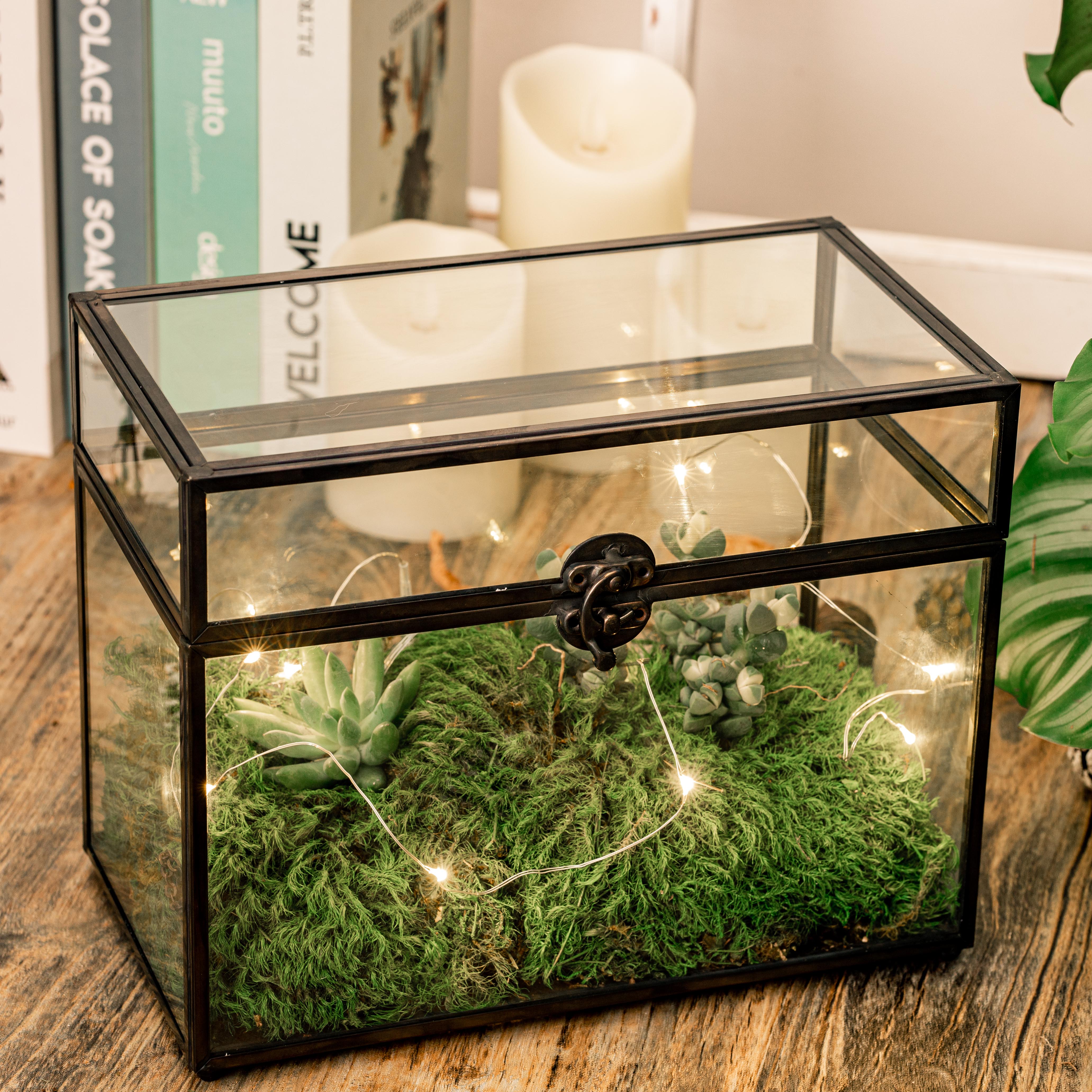Vintage House Glass Geometric Terrarium Card Box Black – NCYPgarden