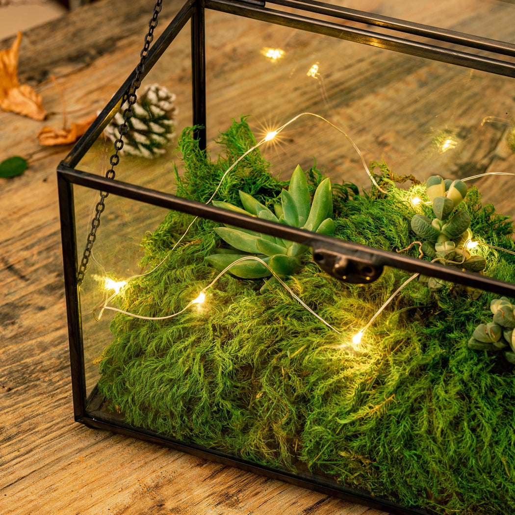 How to Create a Terrarium with Moss – 46 & Spruce