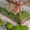 Preserved Short Moss, Natural Green 20x50cm, for DIY moss wall, moss terrarium, vertical garden - NCYPgarden
