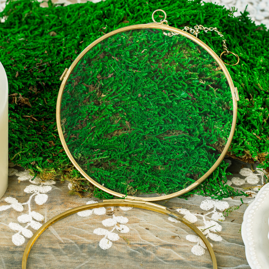 NCYP Wall Hanging Round 5" Herbarium Brass Glass Frame for Pressed Flowers, Dried Flowers, Poster, Double Glass, floating Frame - NCYPgarden