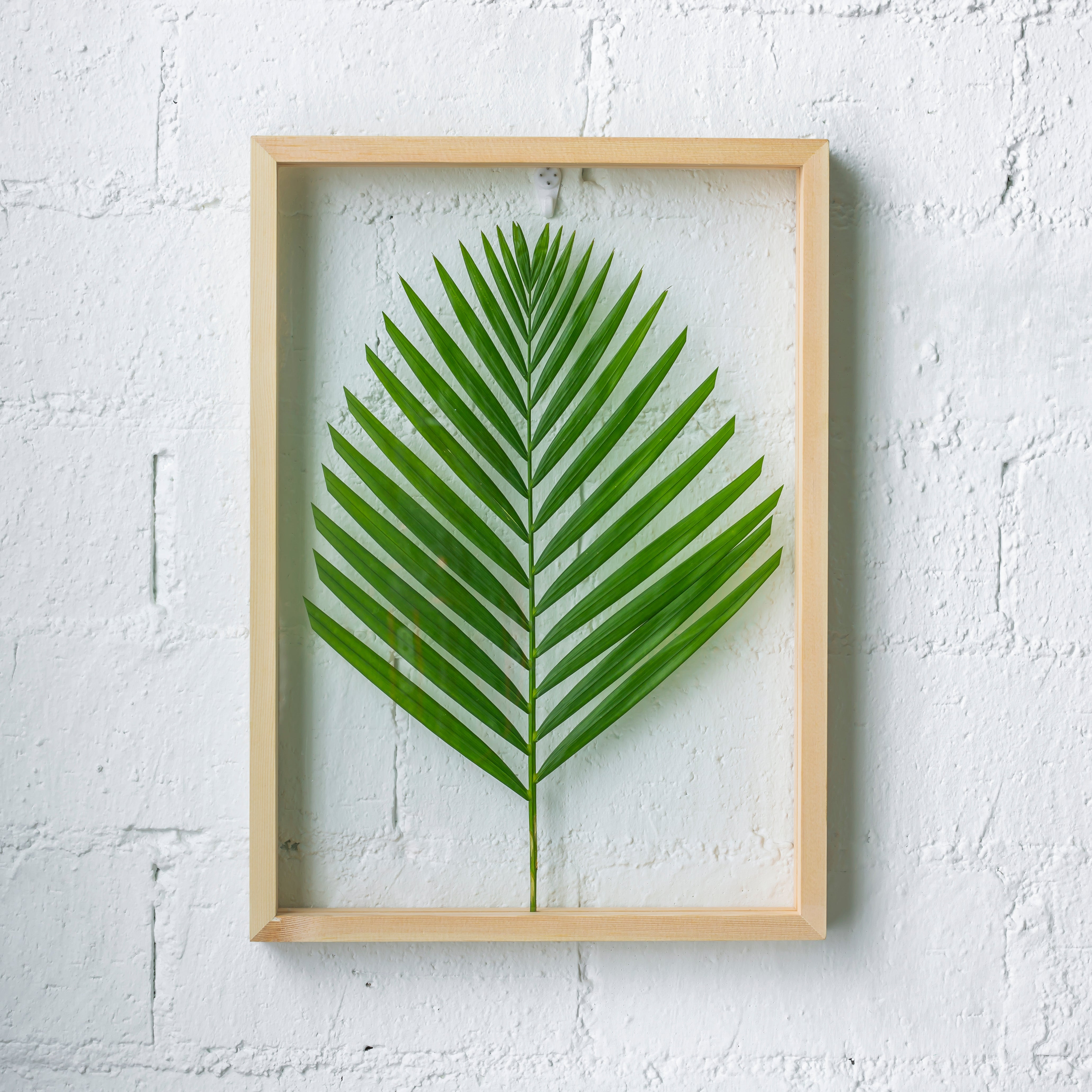 NCYP Handmade 5' 20" A3 A4 Large Tabletop Wall Hanging Natural Wood Acrylic Artwork  Floating Frame - NCYPgarden