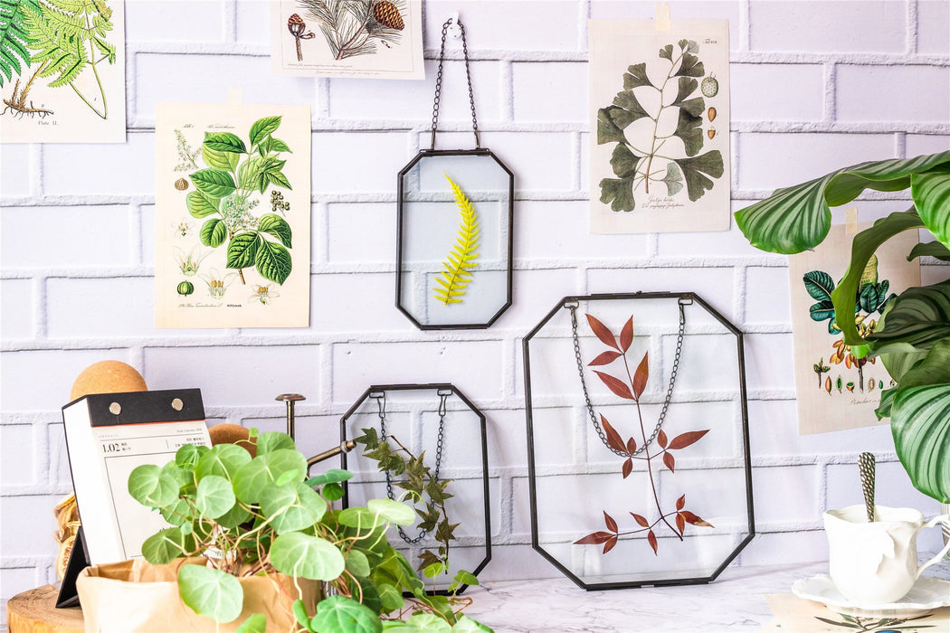 Wall Hanging Black Long Octagon Herbarium Brass Glass Frame for Pressed Flowers Dried floating Frame - NCYPgarden