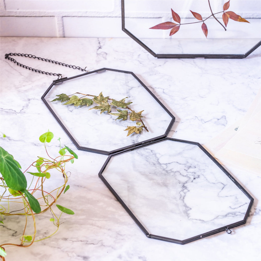 Wall Hanging Black Long Octagon Herbarium Brass Glass Frame for Pressed Flowers Dried floating Frame - NCYPgarden
