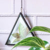 Hanging Black Triangle Herbarium Brass Glass Frame for Pressed Flowers Dried Flowers Poster - NCYPgarden
