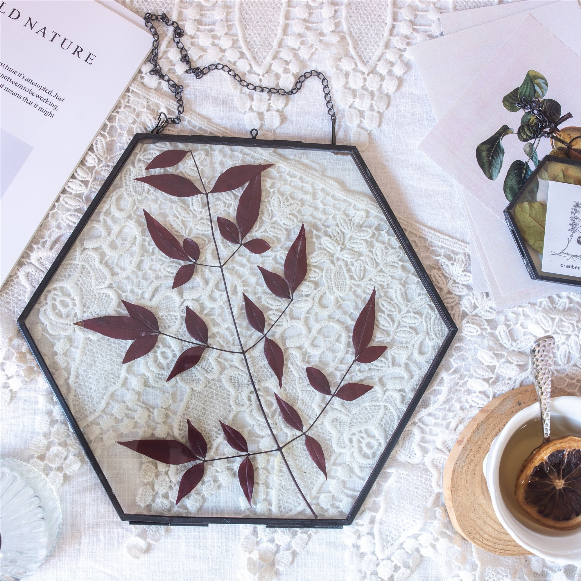 Hanging Black Hexagon Herbarium Brass Glass Frame for Pressed Flowers Dried Flowers Floating Frame - NCYPgarden