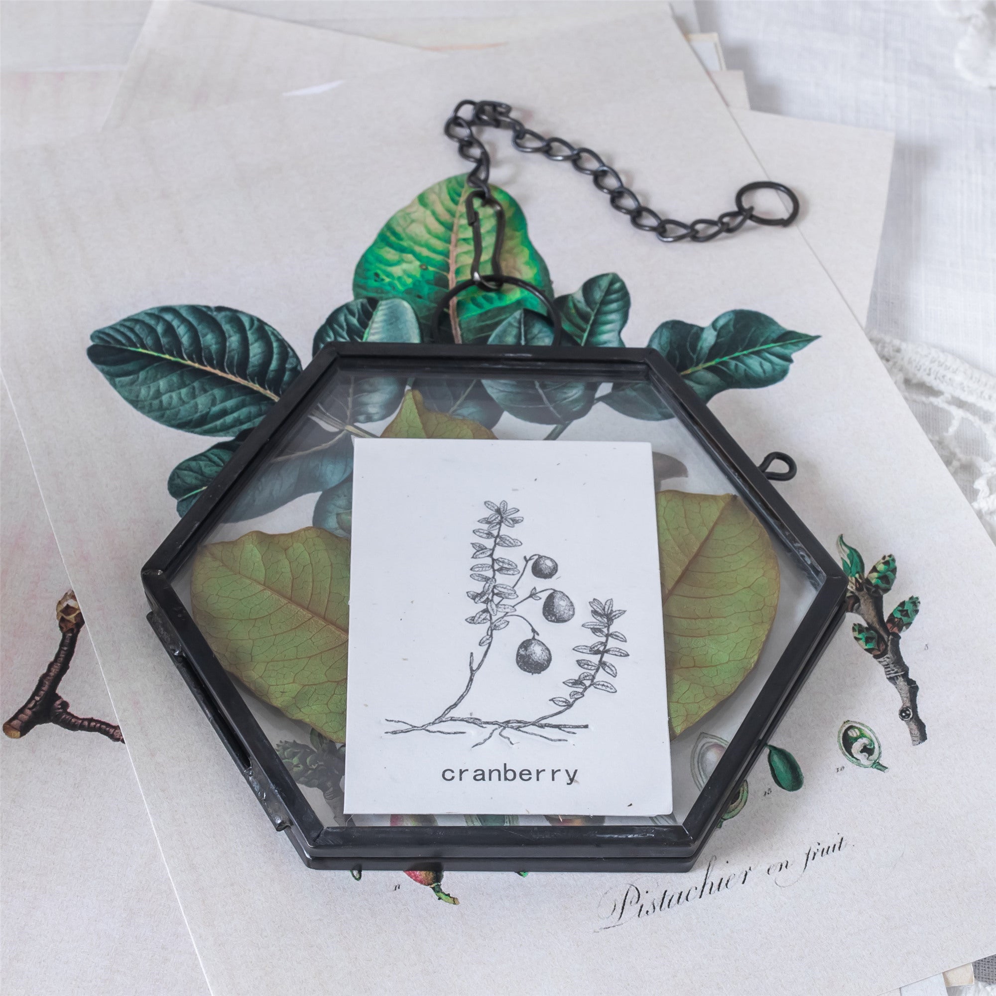 Handmade Black Vintage Brass Floating Hanging Glass Hexagon Picture Photo Frame Small Side Length 2" - NCYPgarden