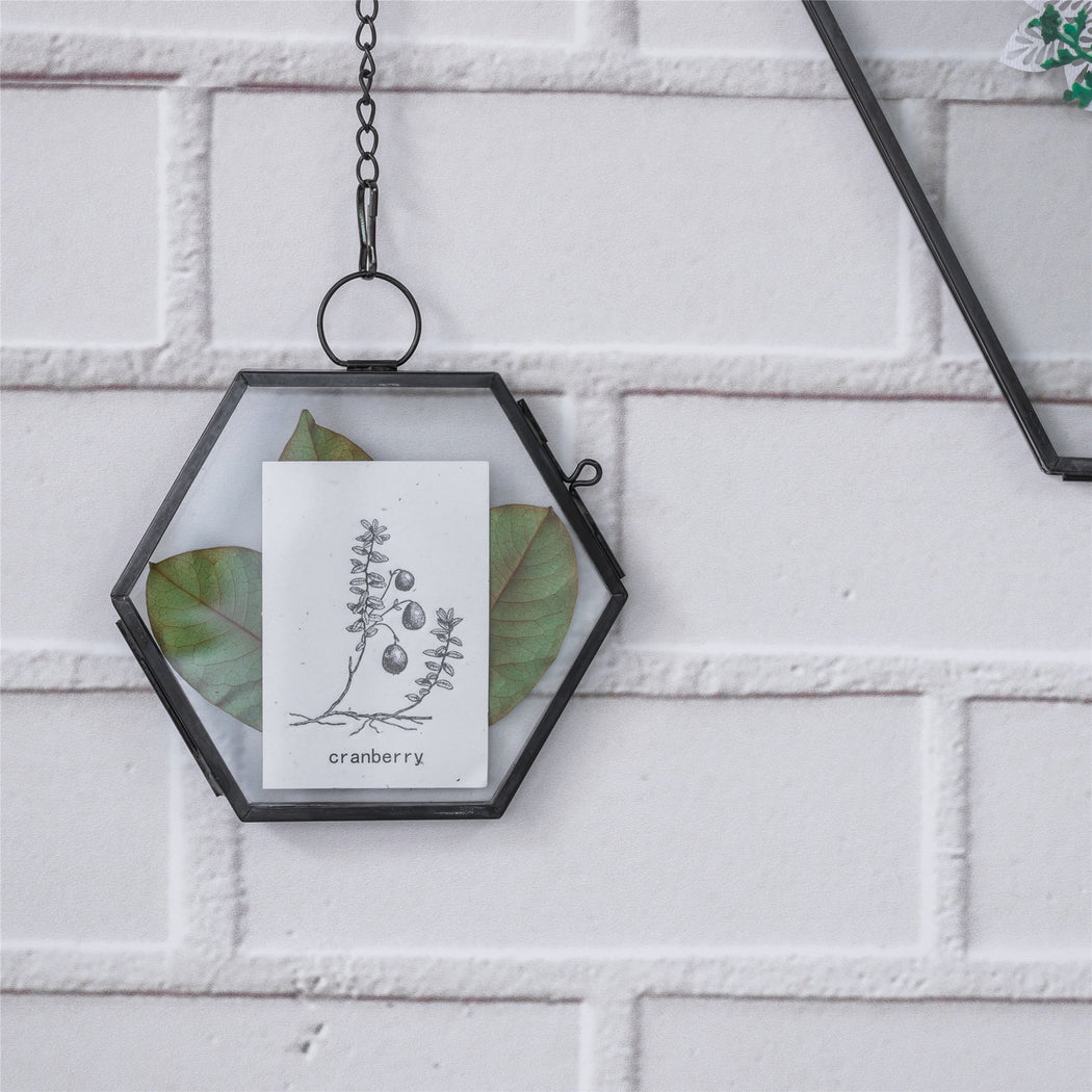 Handmade Black Vintage Brass Floating Hanging Glass Hexagon Picture Photo Frame Small Side Length 2" - NCYPgarden