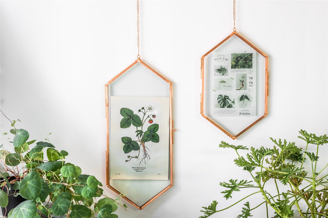 NCYP Vintage Rose Gold Copper Floating Hanging Glass Long Hexagon Frame for Fern, Pressed Flower - NCYPgarden