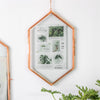NCYP Vintage Rose Gold Copper Floating Hanging Glass Long Hexagon Frame for Fern, Pressed Flower - NCYPgarden