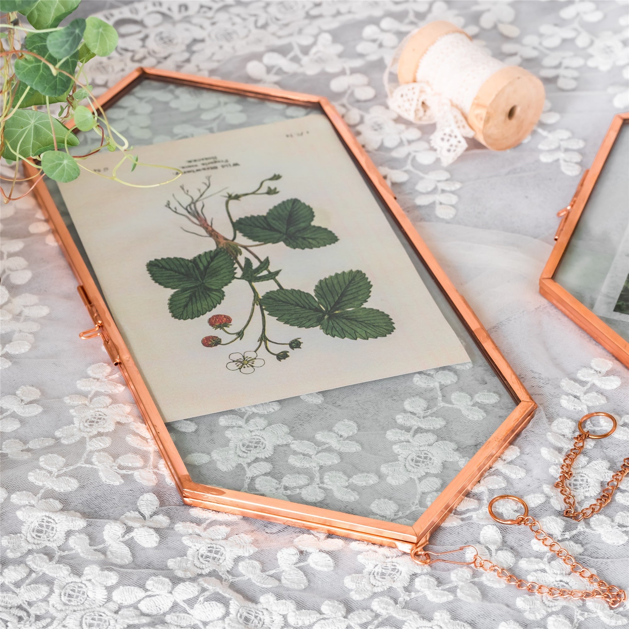 NCYP Vintage Rose Gold Copper Floating Hanging Glass Long Hexagon Frame for Fern, Pressed Flower - NCYPgarden