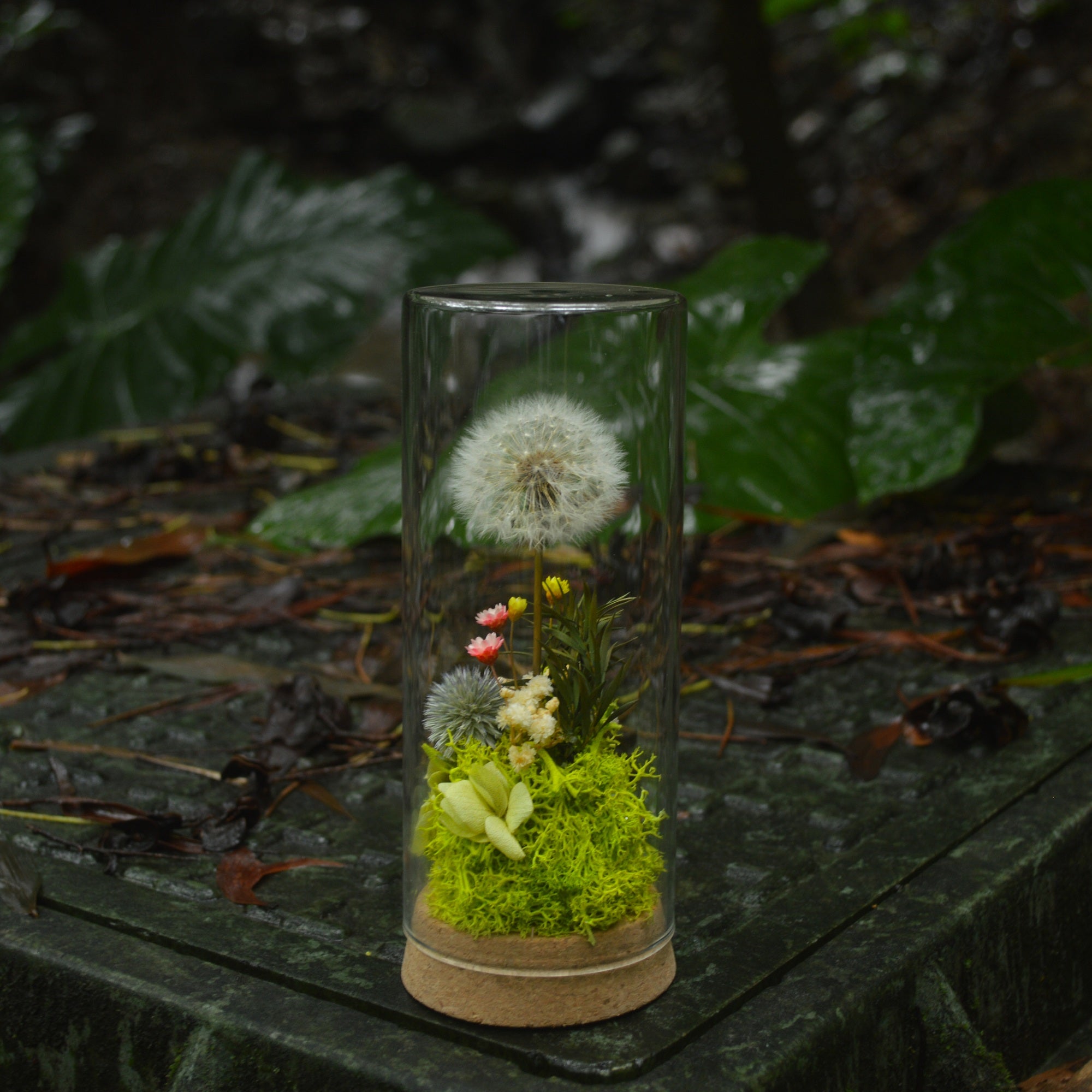 Presered Dandelion Set 3 pcs Dried Flowers, DIY Material for Bouquet, - NCYPgarden