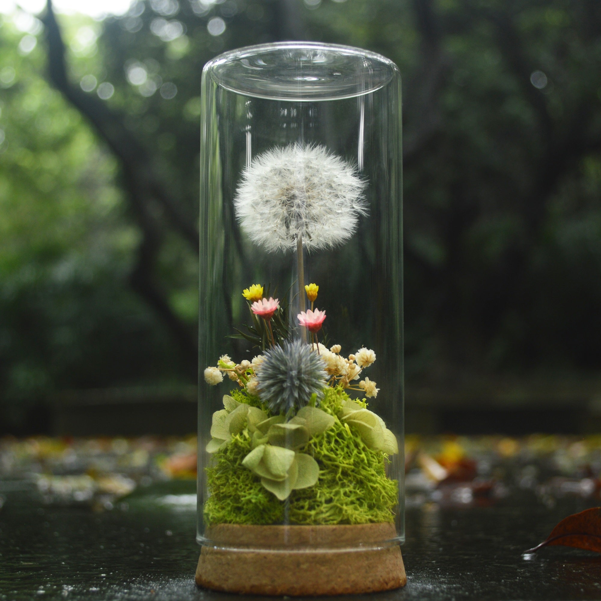 Presered Dandelion Set 3 pcs Dried Flowers, DIY Material for Bouquet, - NCYPgarden