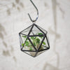 Modern Hanging Triangular Mine Round Ball Glass Geometric Terrarium for Succulent Plant Fern Moss - NCYPgarden