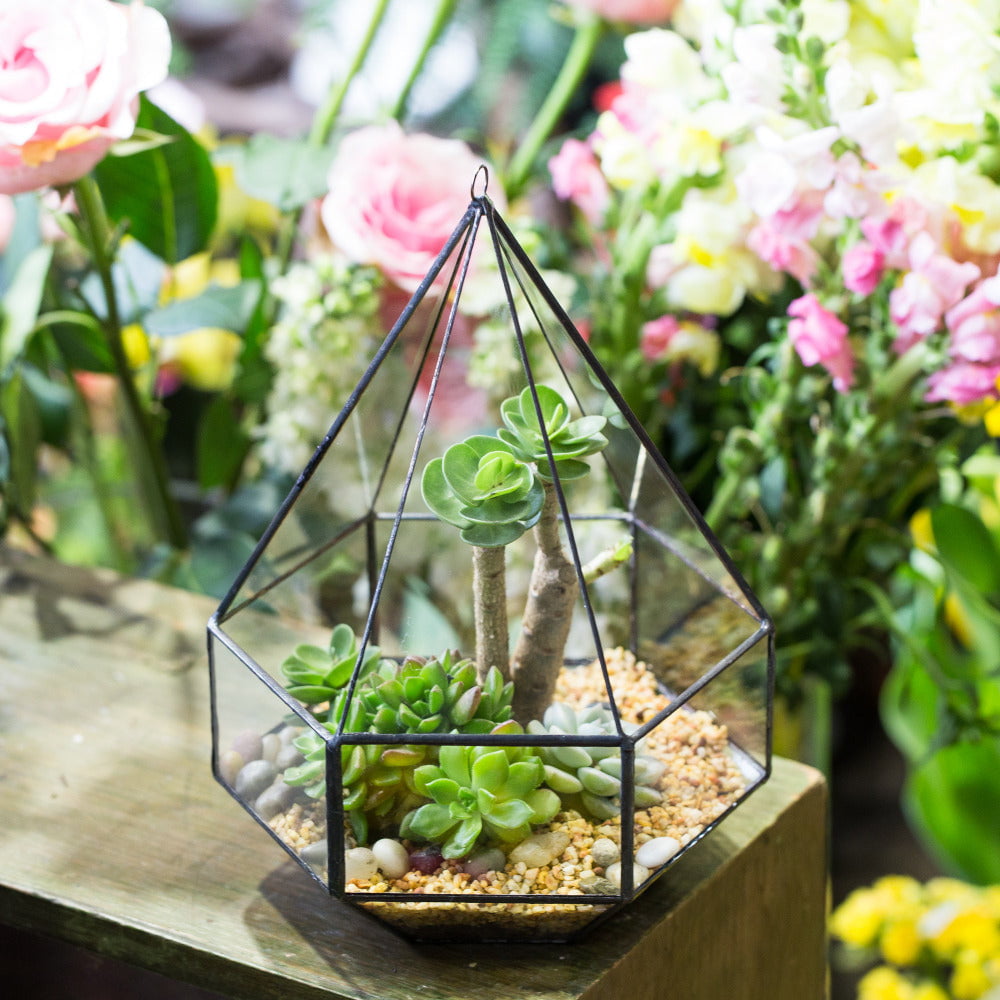 Hanging Six-surface Diamond Glass Geometric Terrarium Wall Mount Hanging Planter with 3 Opening - NCYPgarden