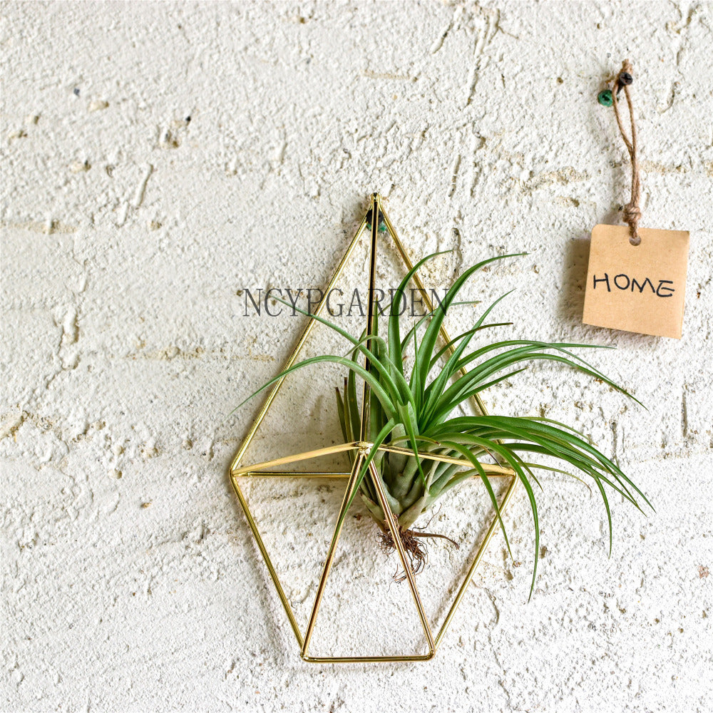Rustic Wall Mount Hanging Geometric Metal Tillandsia Air Plants Holder Iron Rack Black Wall Accent - NCYPgarden