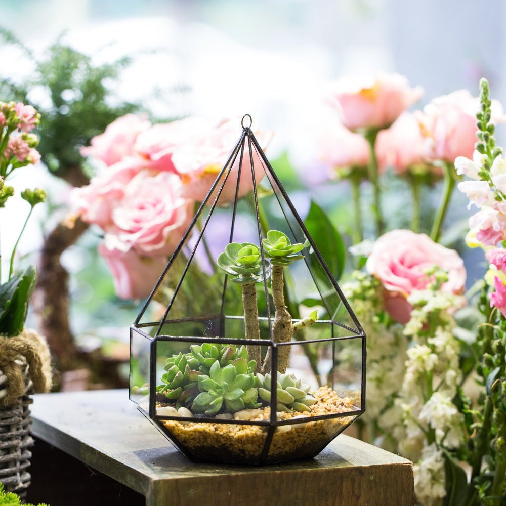 diamond hanging planter Buy Diamond Glass Geometric Terrarium Wall Planter – NCYPgarden