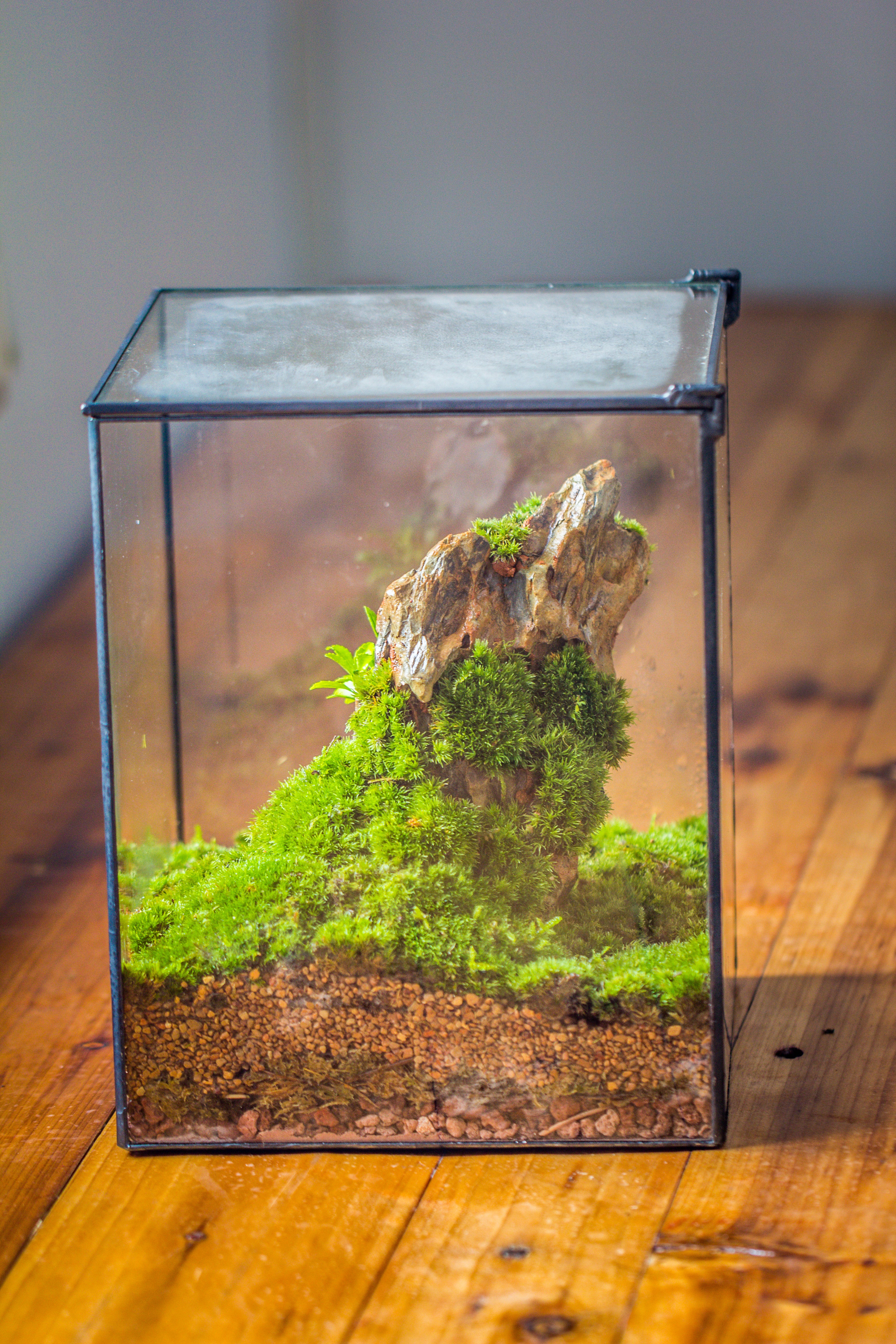 NCYP Basic Rectangle Close Geometric Glass Tin Terrarium, Planter  Multiple Size for Moss Wall, Fern, Landscape multiple size, No plants - NCYPgarden