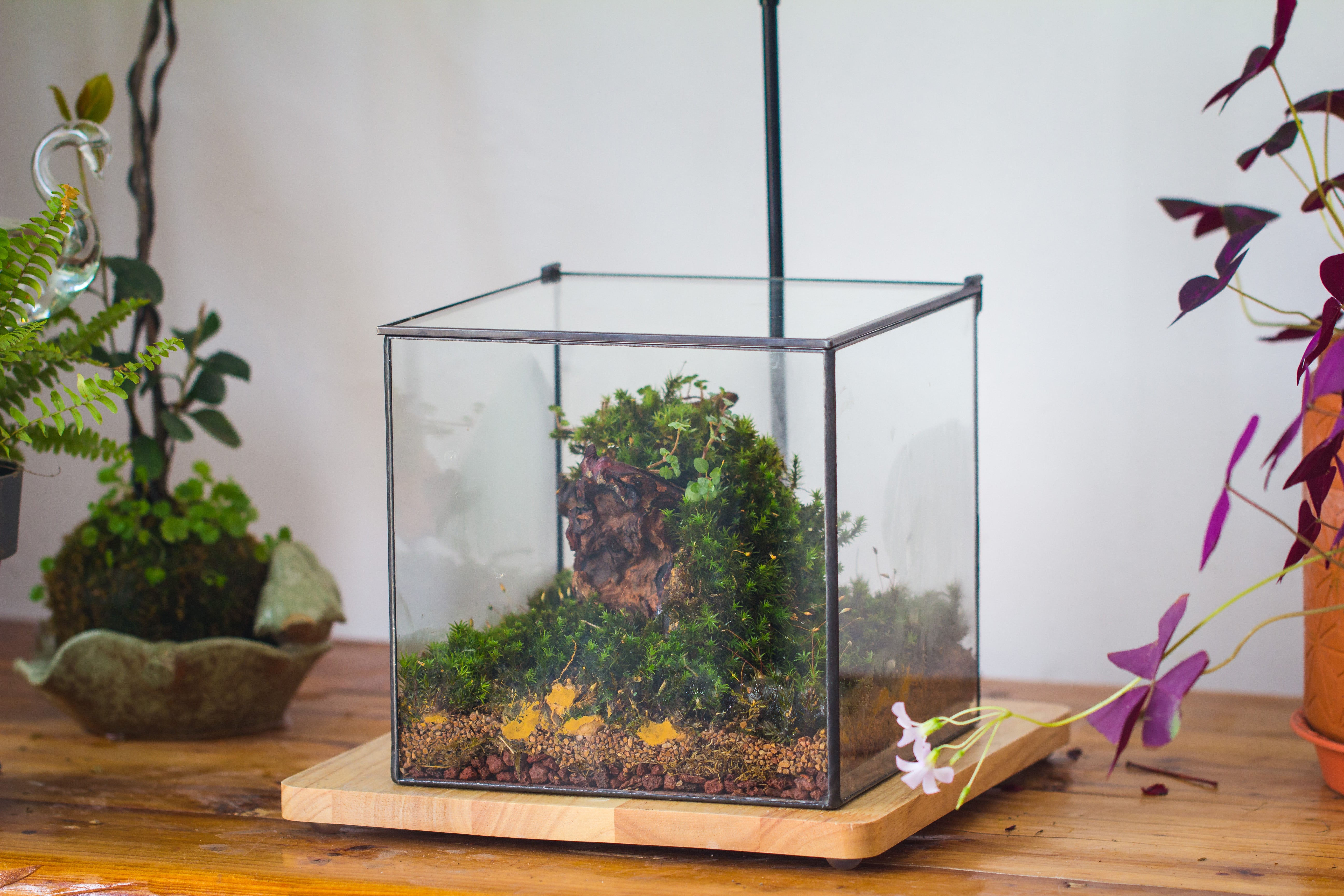 NCYP Basic Rectangle Close Geometric Glass Tin Terrarium, Planter  Multiple Size for Moss Wall, Fern, Landscape multiple size, No plants - NCYPgarden