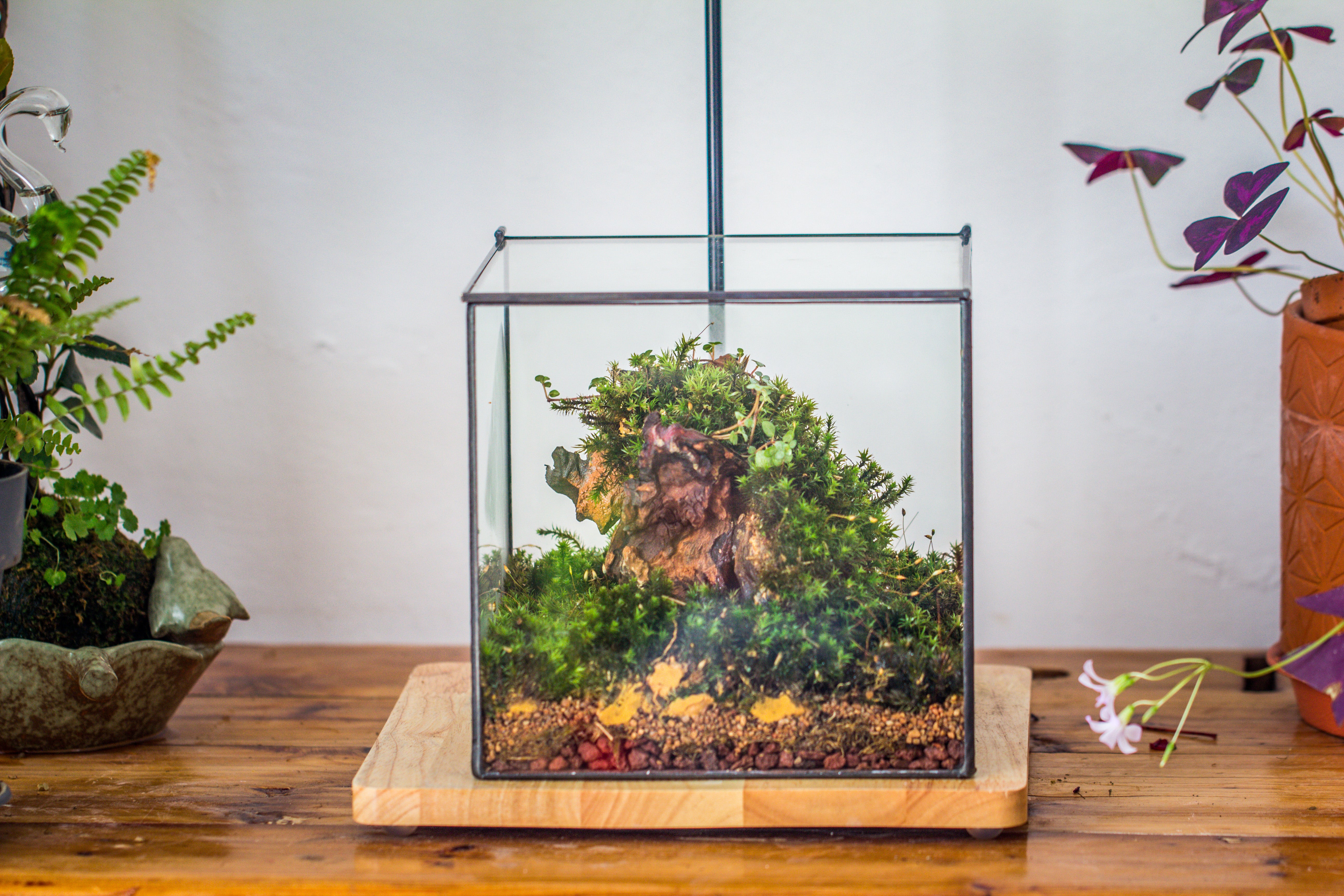 NCYP Basic Rectangle Close Geometric Glass Tin Terrarium, Planter  Multiple Size for Moss Wall, Fern, Landscape multiple size, No plants - NCYPgarden