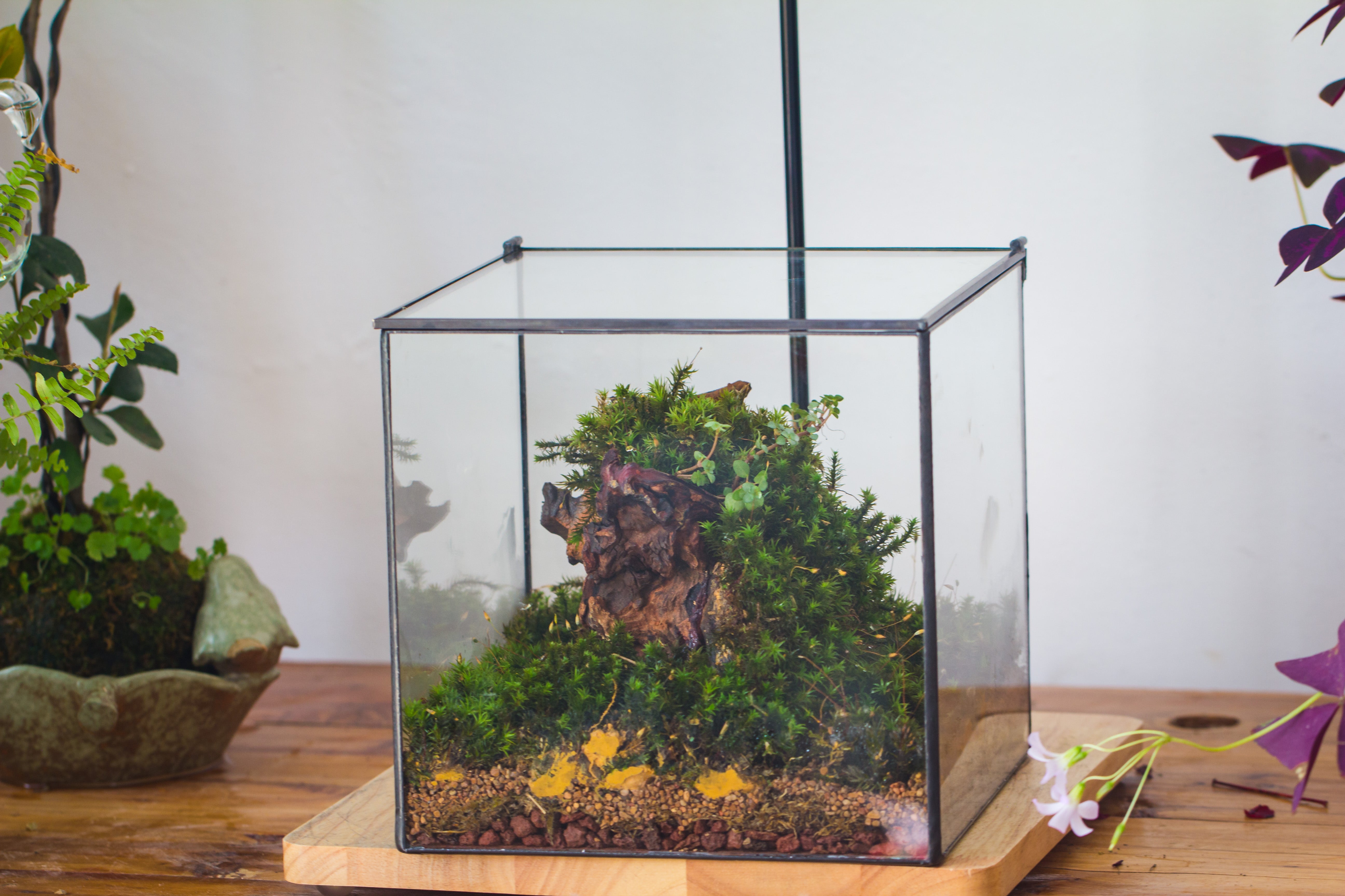 NCYP Basic Rectangle Close Geometric Glass Tin Terrarium, Planter  Multiple Size for Moss Wall, Fern, Landscape multiple size, No plants - NCYPgarden