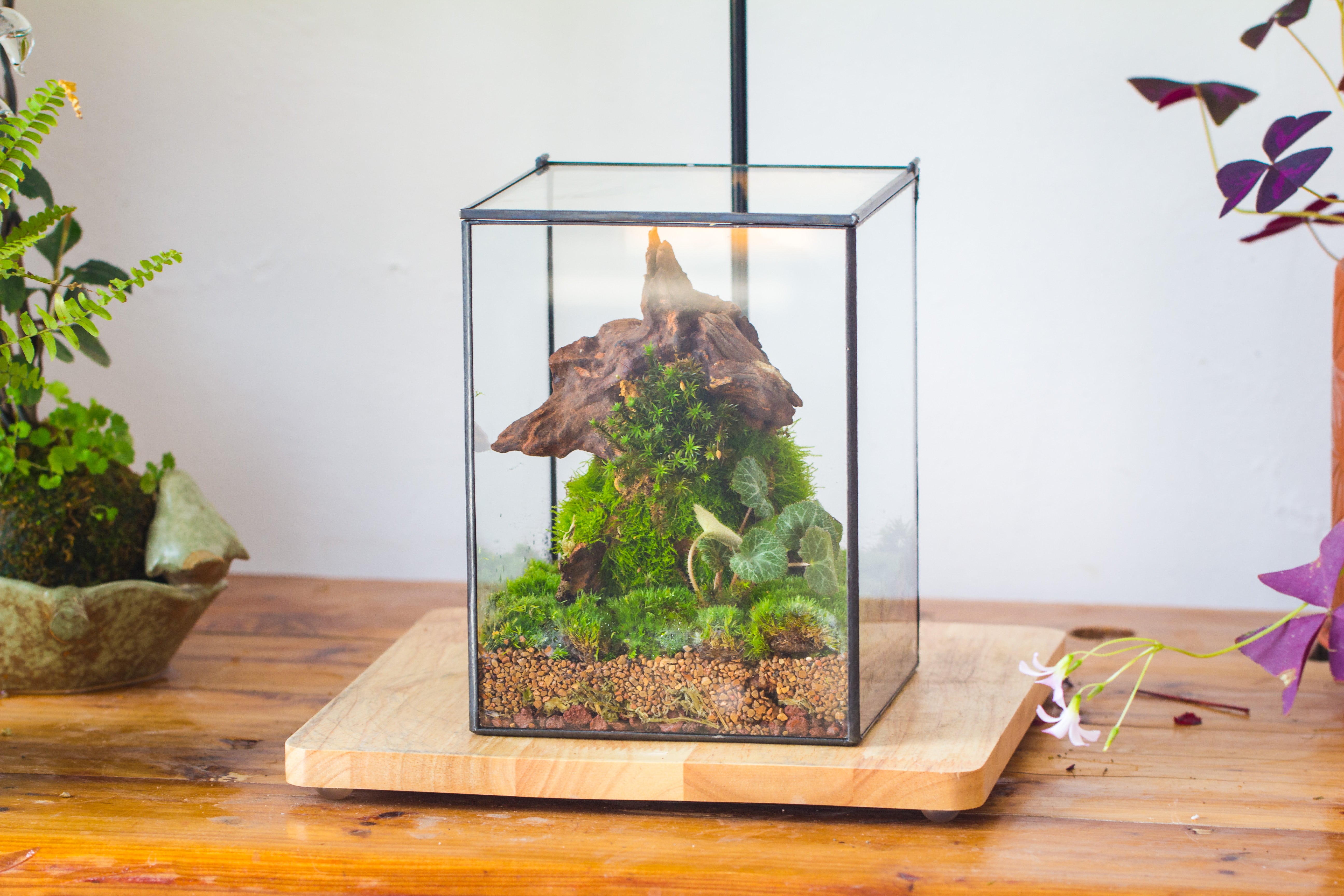 NCYP Basic Rectangle Close Geometric Glass Tin Terrarium, Planter  Multiple Size for Moss Wall, Fern, Landscape multiple size, No plants - NCYPgarden