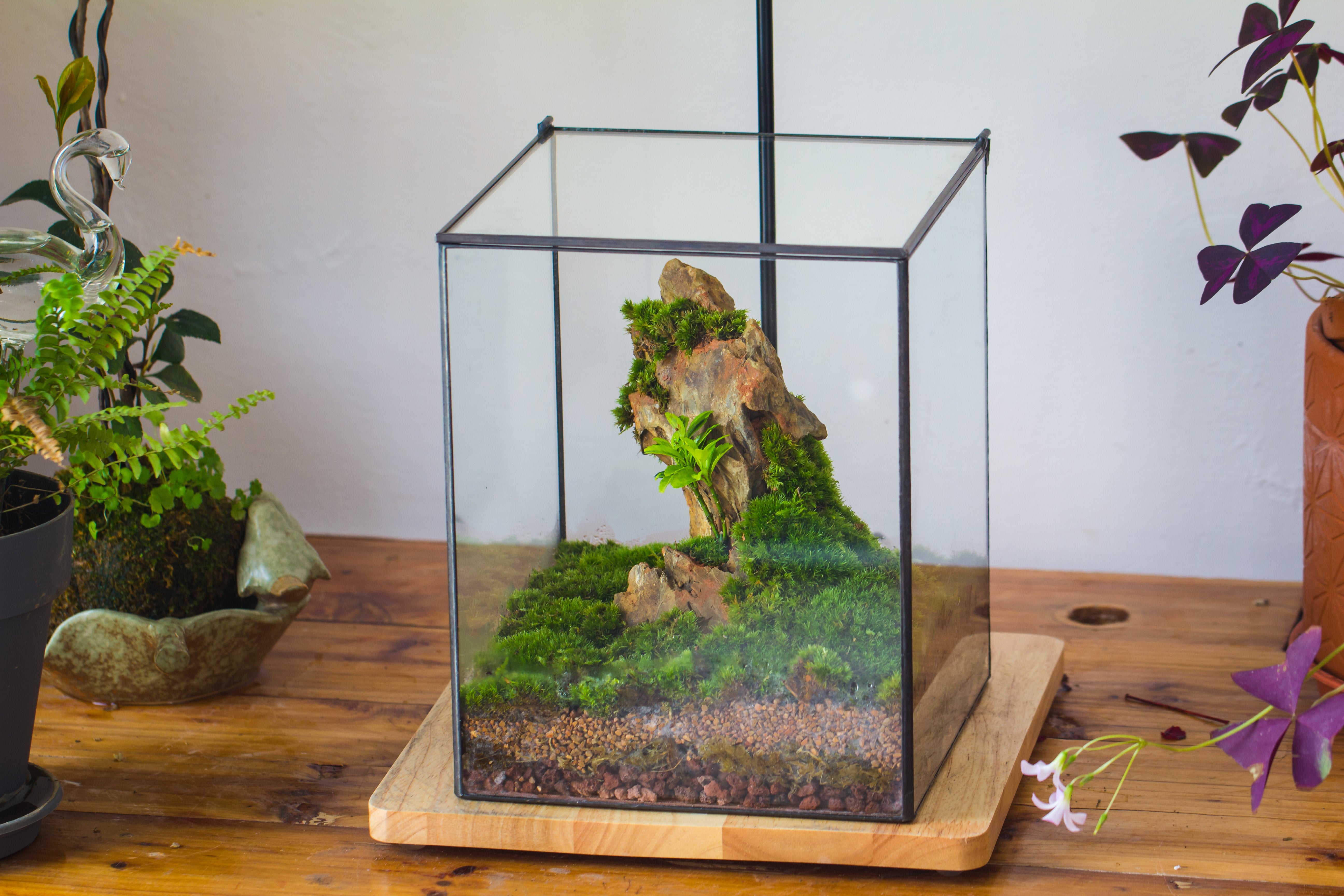 NCYP Basic Rectangle Close Geometric Glass Tin Terrarium, Planter  Multiple Size for Moss Wall, Fern, Landscape multiple size, No plants - NCYPgarden