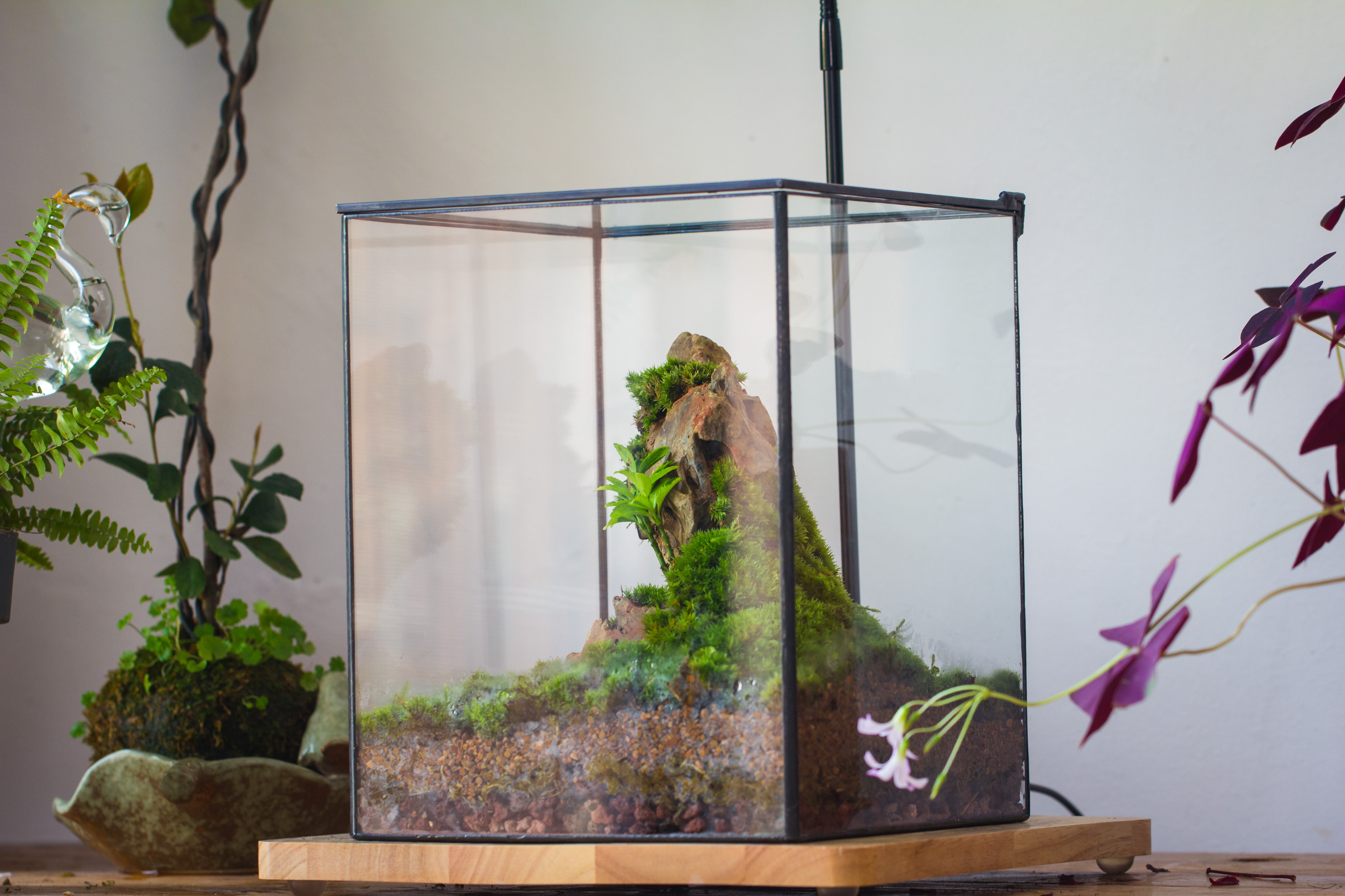 NCYP Basic Rectangle Close Geometric Glass Tin Terrarium, Planter  Multiple Size for Moss Wall, Fern, Landscape multiple size, No plants - NCYPgarden