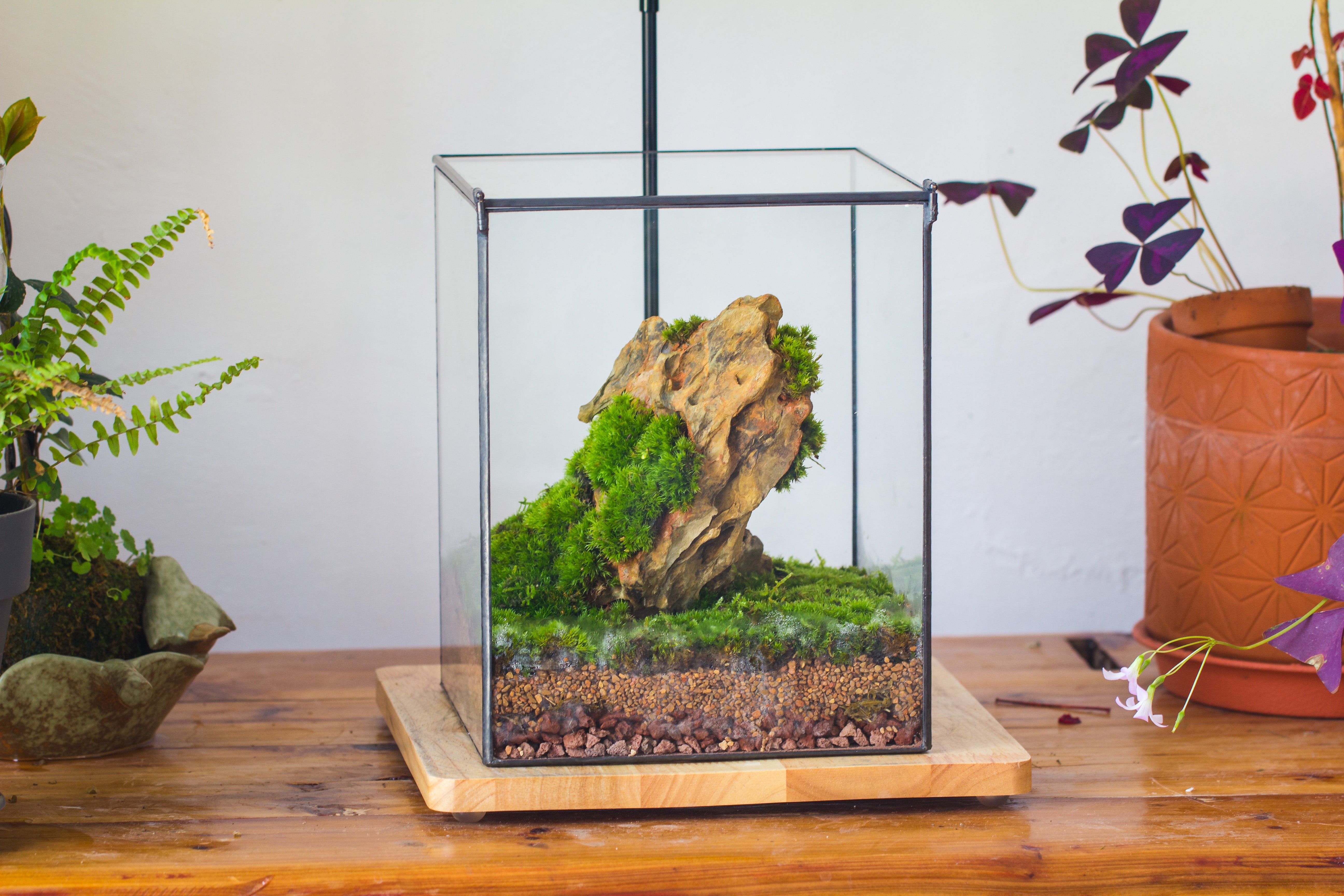 NCYP Basic Rectangle Close Geometric Glass Tin Terrarium, Planter  Multiple Size for Moss Wall, Fern, Landscape multiple size, No plants - NCYPgarden