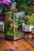 NCYP Close Geometric Glass Terrarium with Door, Tin Sealed  Rectangle Tall Moss wall Planter for Moss Wall, Fern, Landscape multiple size - NCYPgarden