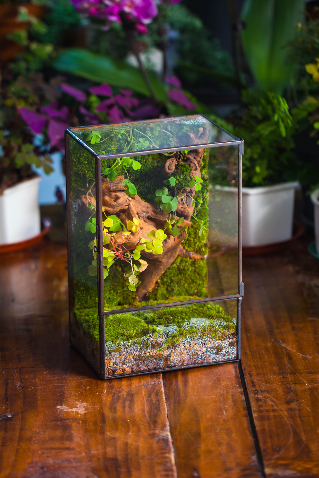 NCYP Close Geometric Glass Terrarium with Door, Tin Sealed  Rectangle Tall Moss wall Planter for Moss Wall, Fern, Landscape multiple size - NCYPgarden