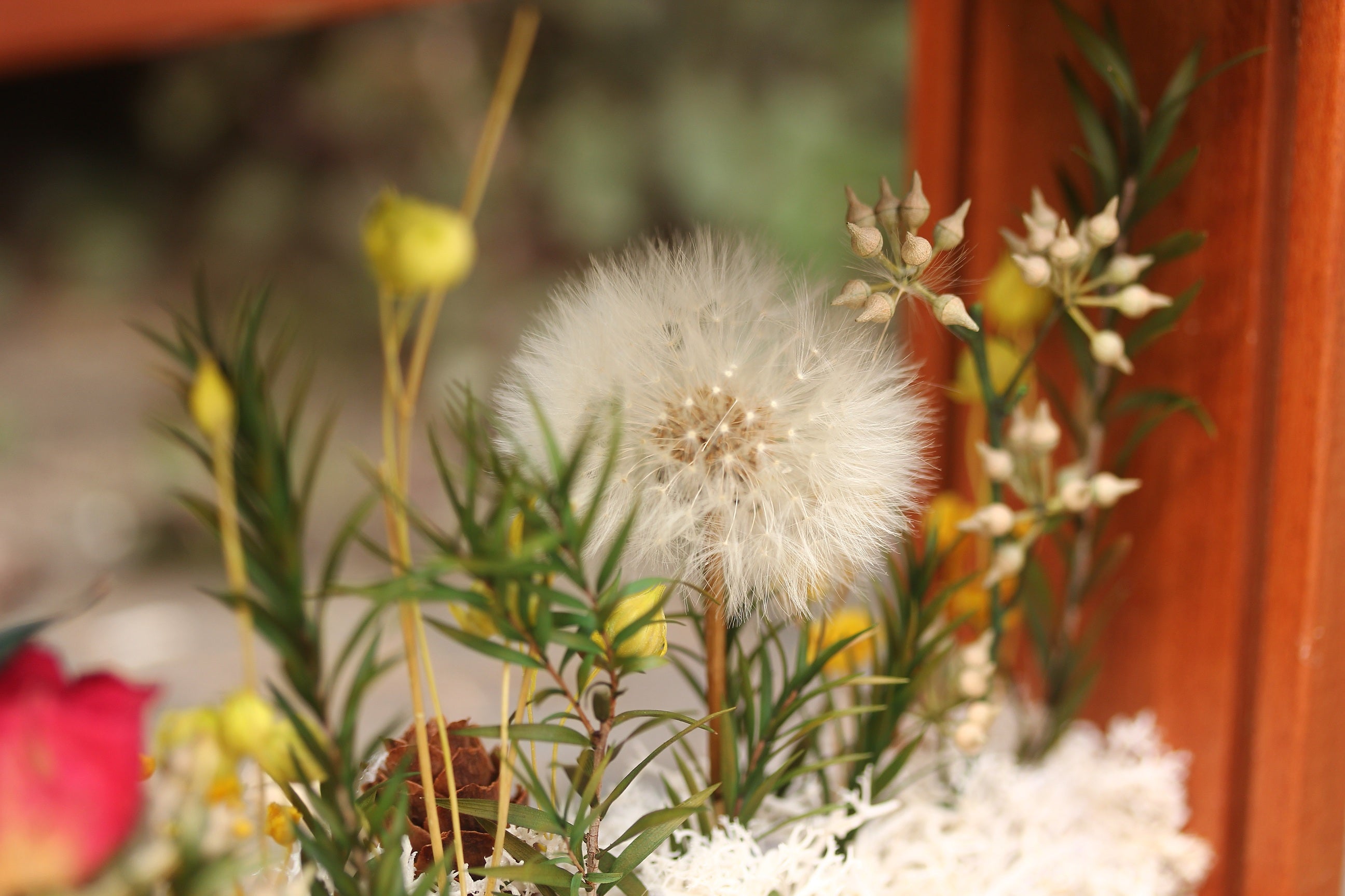 Presered Dandelion Set 3 pcs Dried Flowers, DIY Material for Bouquet, - NCYPgarden
