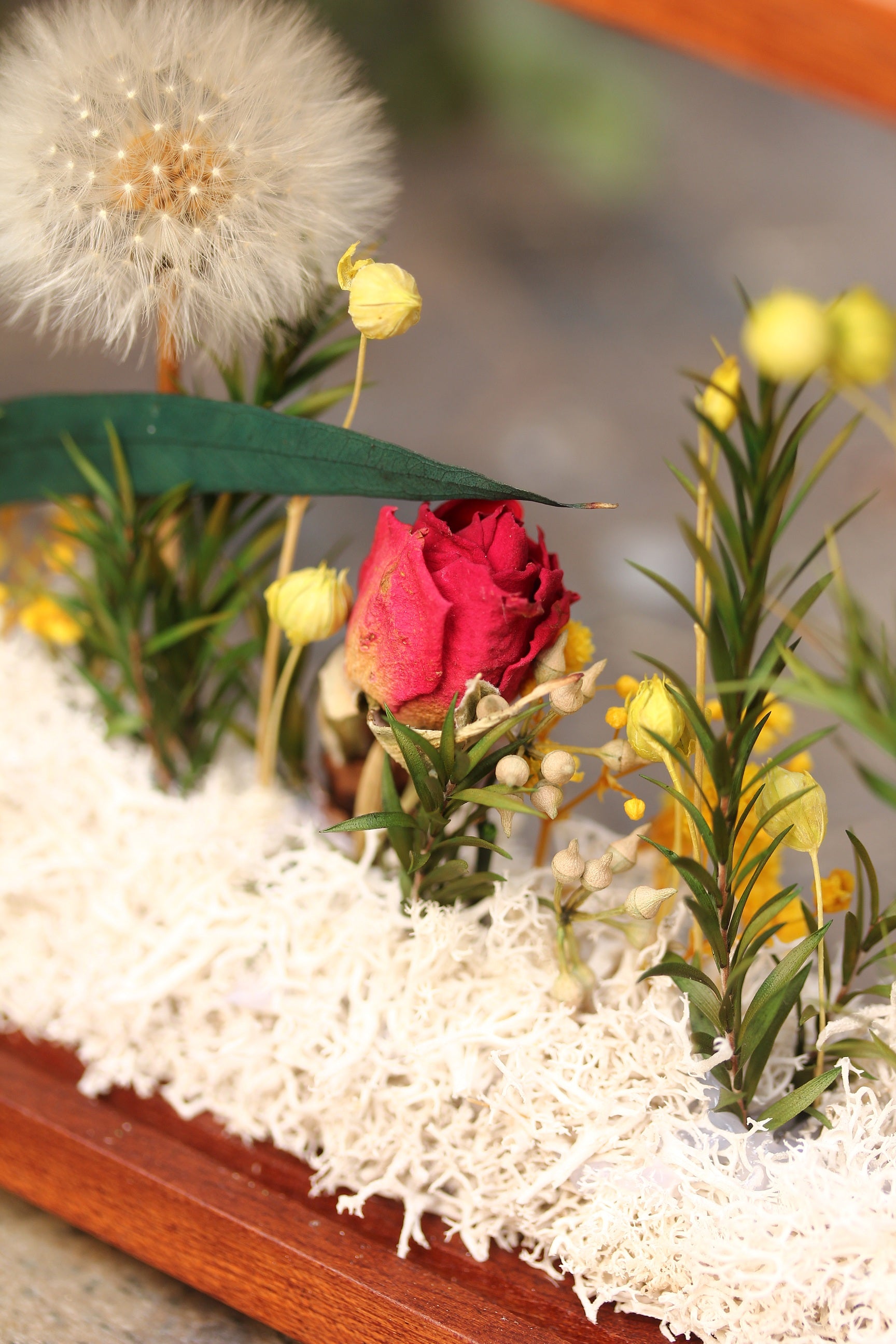 Presered Dandelion Set 3 pcs Dried Flowers, DIY Material for Bouquet, - NCYPgarden