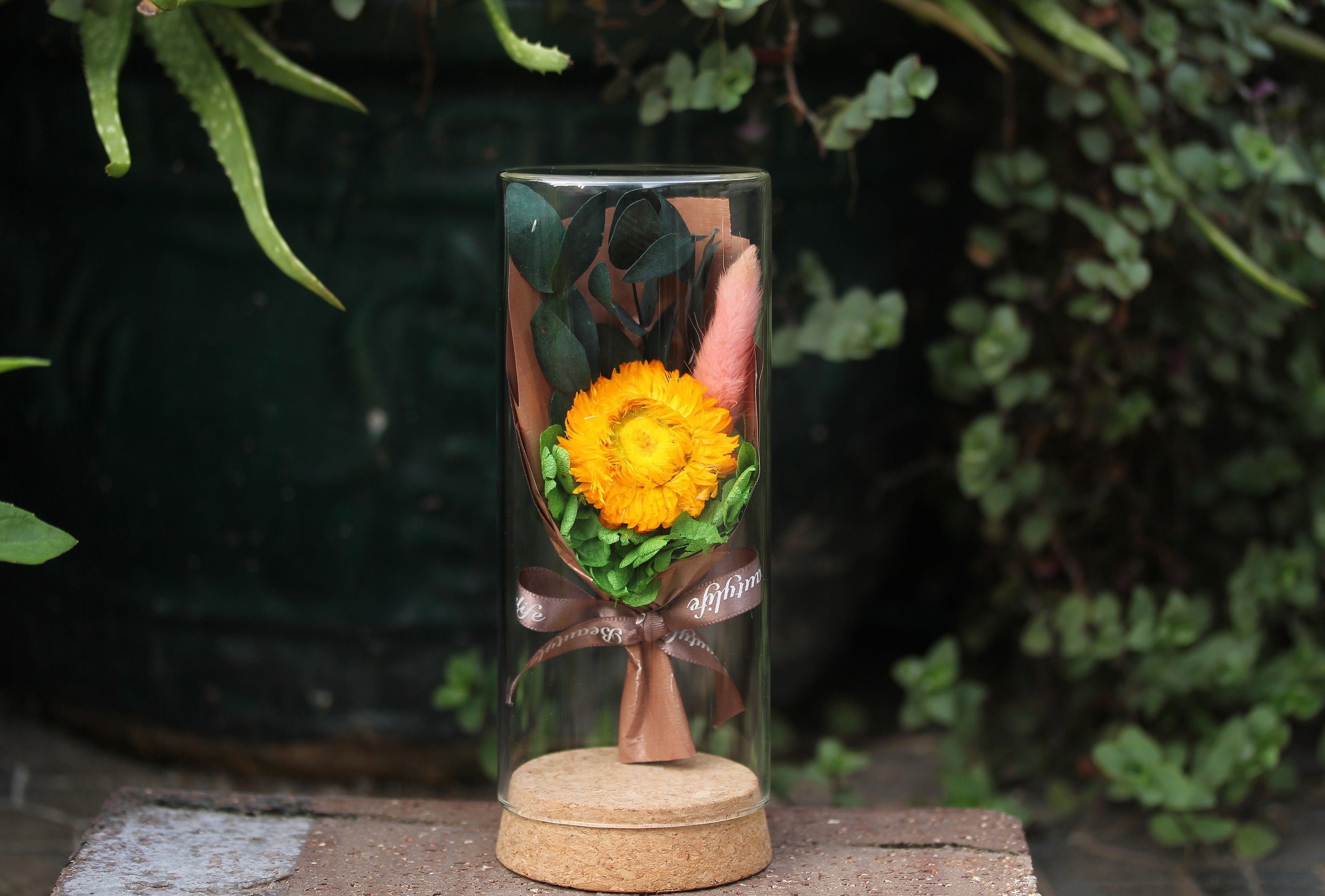 Dried Flowers Terrarium Gift Set Dried Strawflower Bouquet in Glass Tube - NCYPgarden