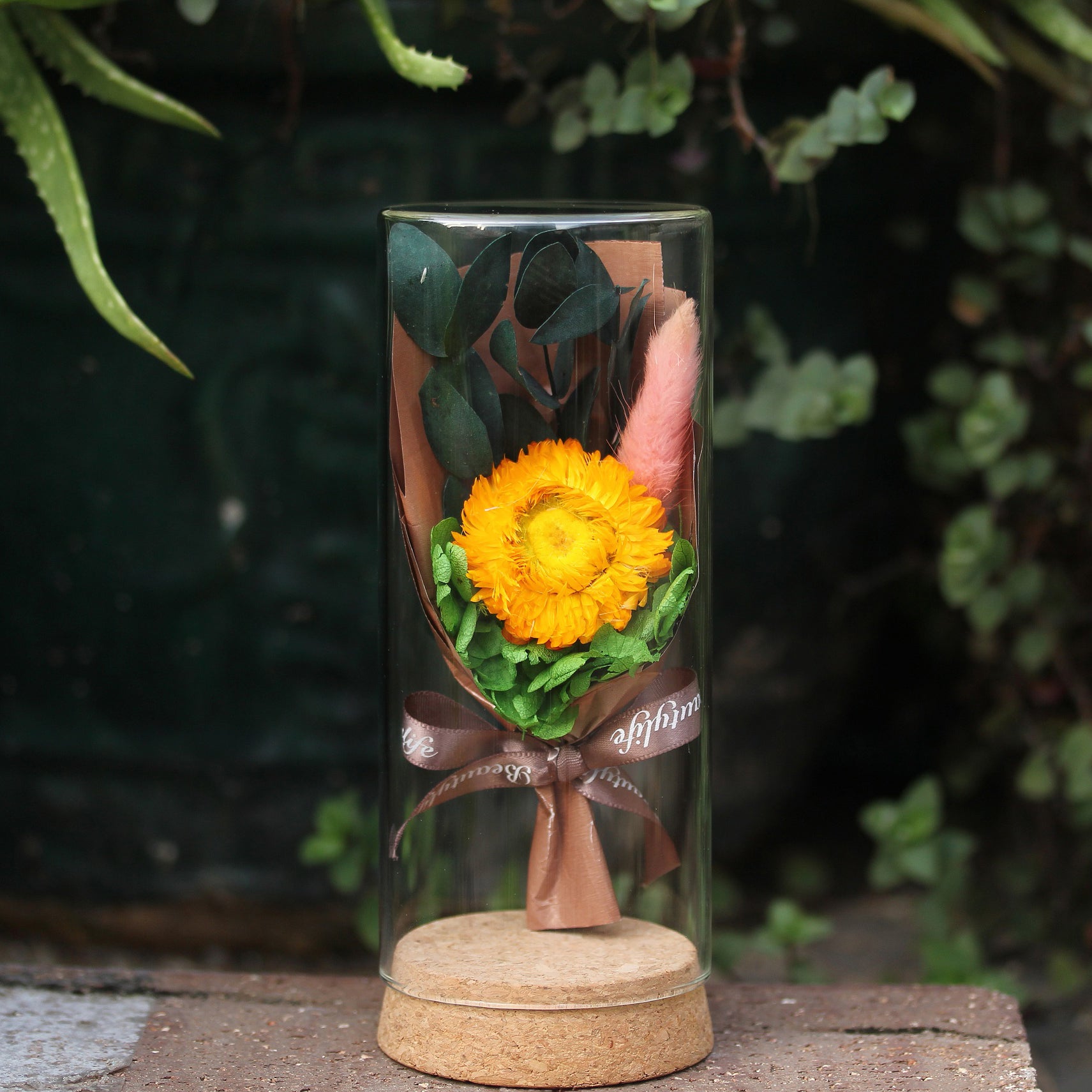 Dried Flowers Terrarium Gift Set Dried Strawflower Bouquet in Glass Tube - NCYPgarden
