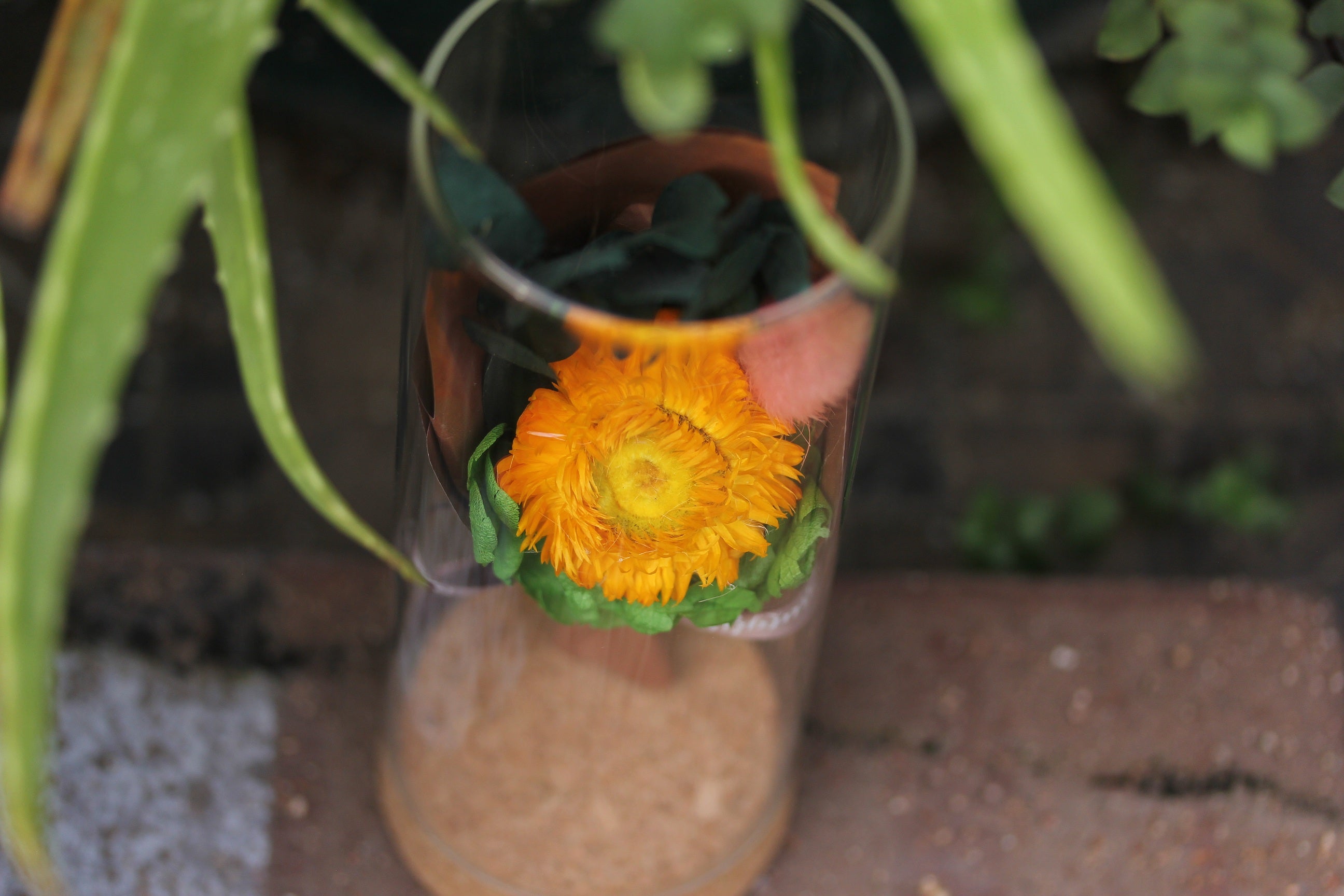 Dried Flowers Terrarium Gift Set Dried Strawflower Bouquet in Glass Tube - NCYPgarden