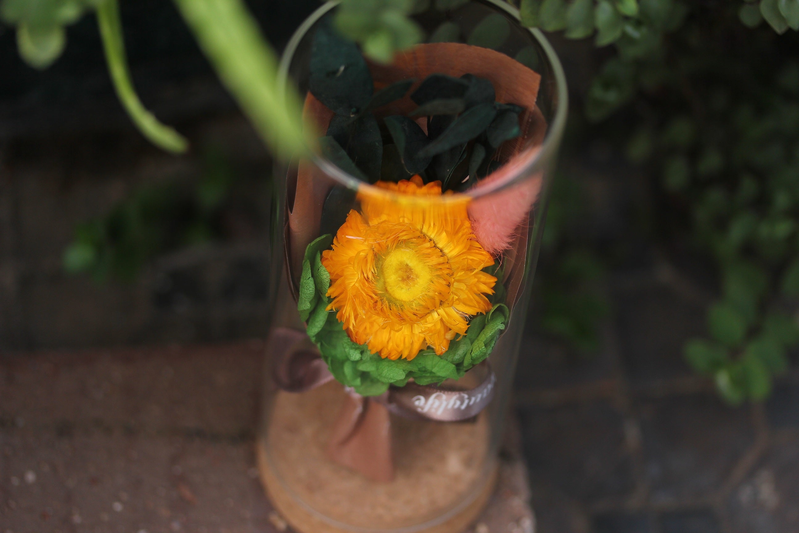 Dried Flowers Terrarium Gift Set Dried Strawflower Bouquet in Glass Tube - NCYPgarden