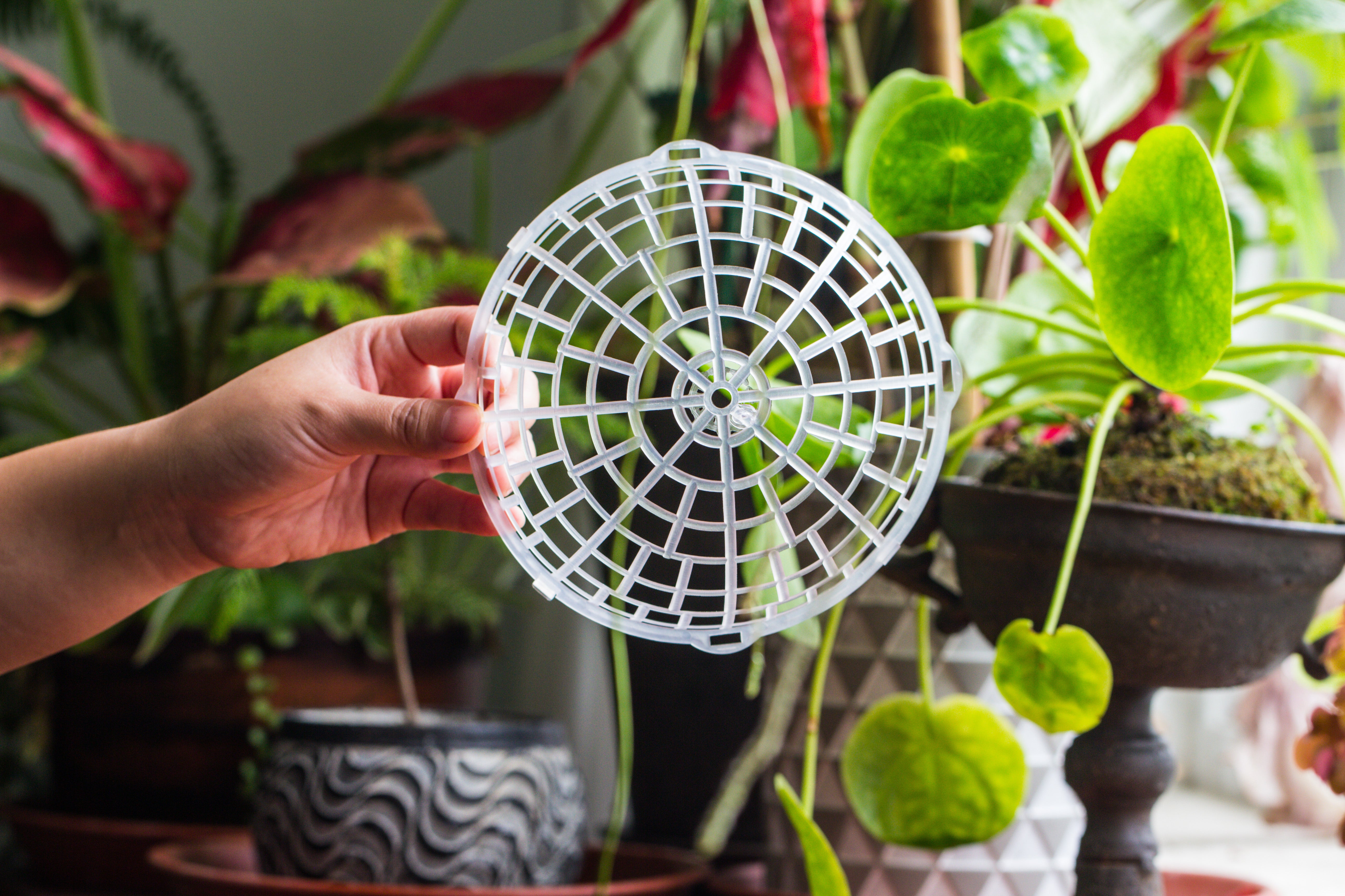 Environment Friendly Detachable Plastic Ball for easy moss ball, hanging planters, wall mounted planting idea, suitable for orchid, Staghorn Fern  10 sets - NCYPgarden