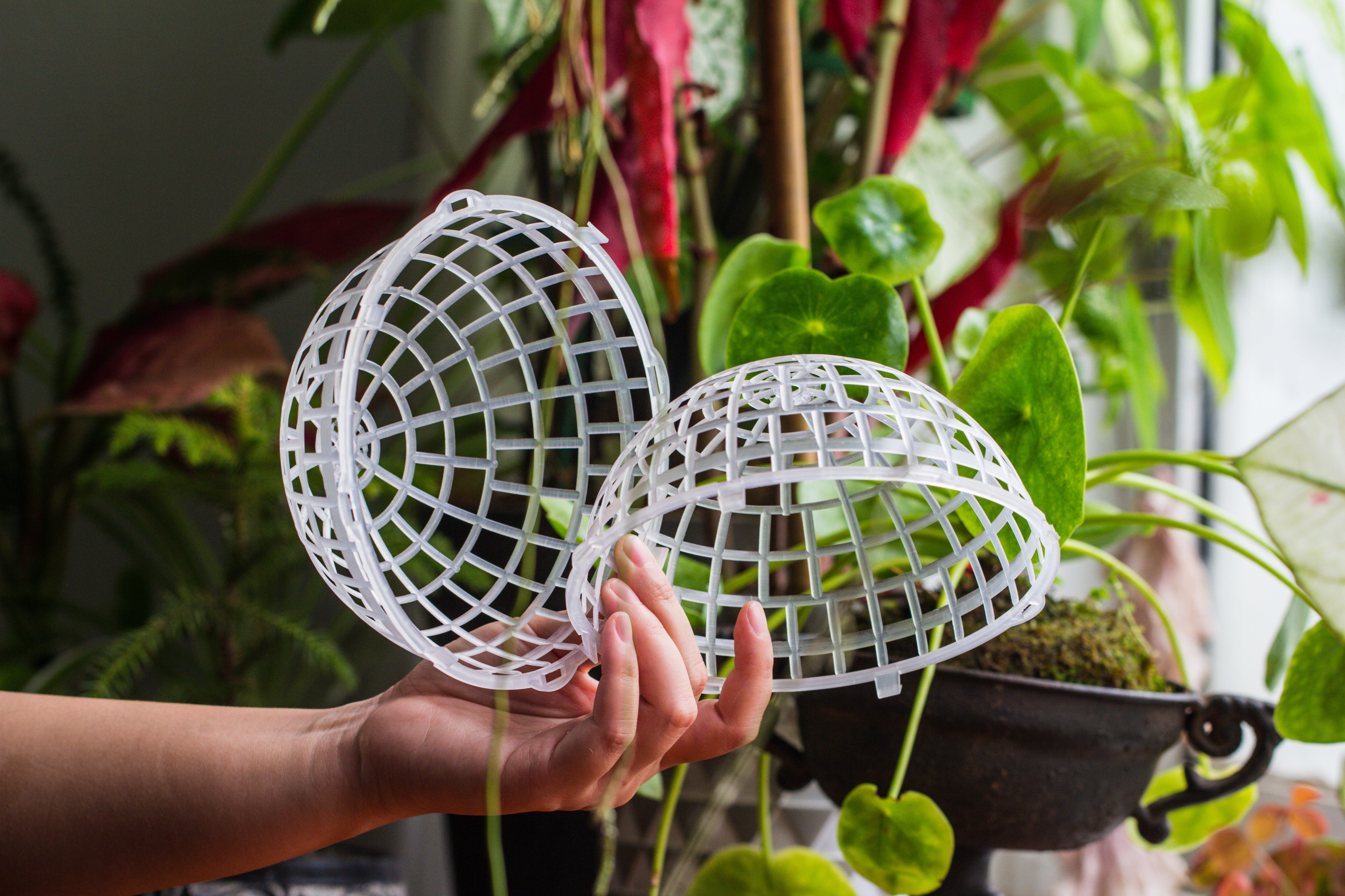 Environment Friendly Detachable Plastic Ball for easy moss ball, hanging planters, wall mounted planting idea, suitable for orchid, Staghorn Fern  10 sets - NCYPgarden