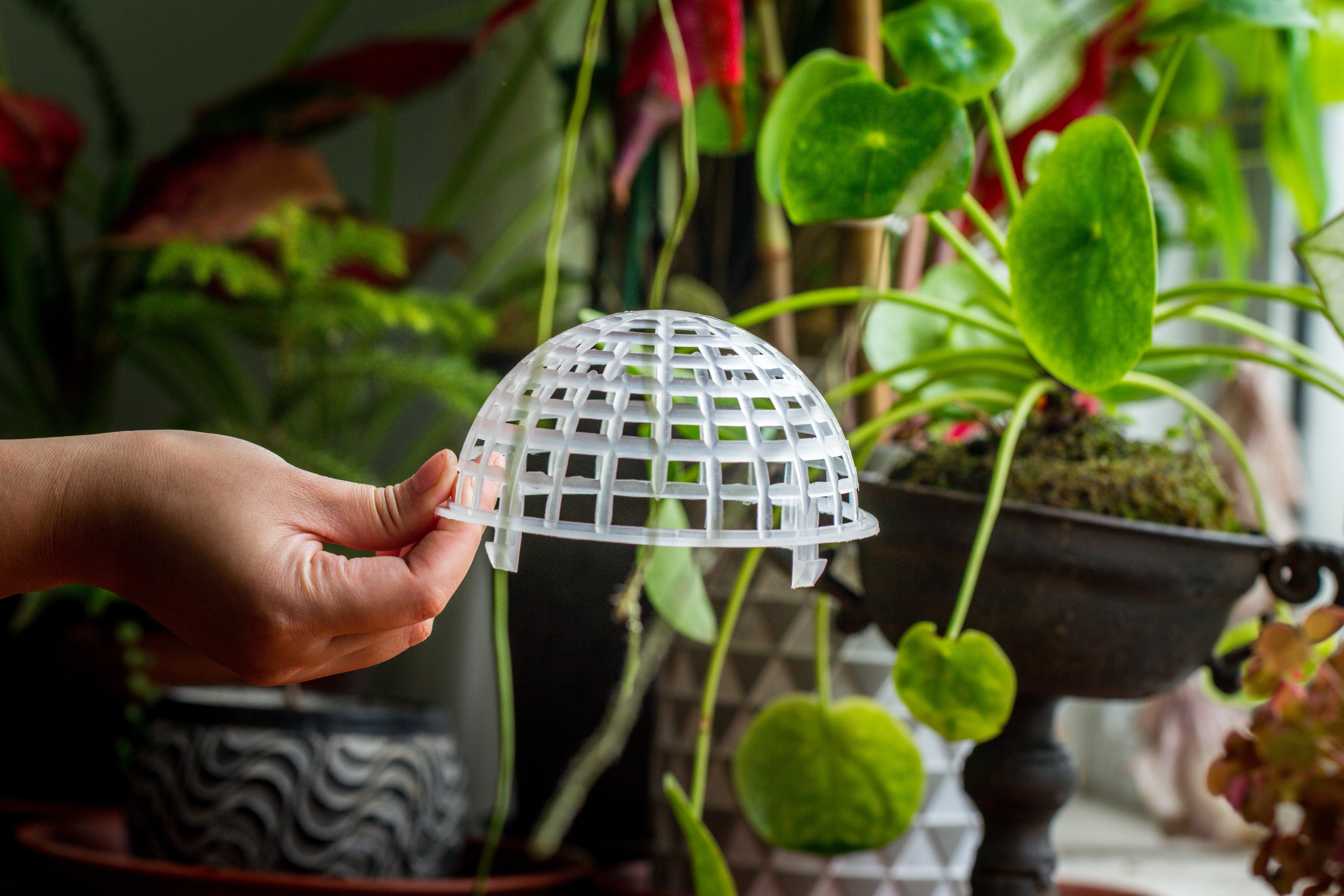 Environment Friendly Detachable Plastic Ball for easy moss ball, hanging planters, wall mounted planting idea, suitable for orchid, Staghorn Fern  10 sets - NCYPgarden