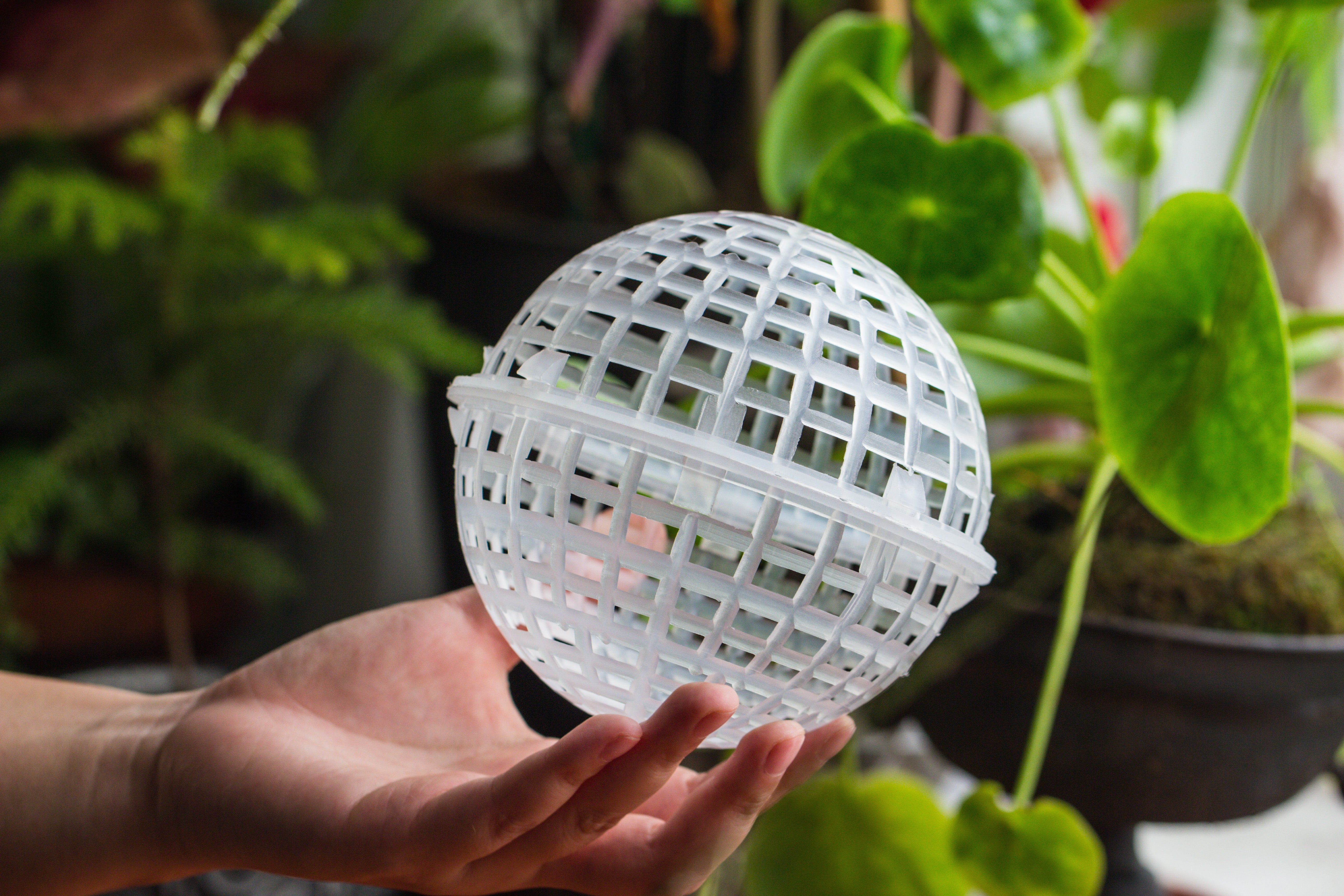 hanging planter ball Environment Friendly Detachable Plastic Ball for easy moss ball, hanging planters, wall mounted planting idea, suitable for orchid, Staghorn Fern 30