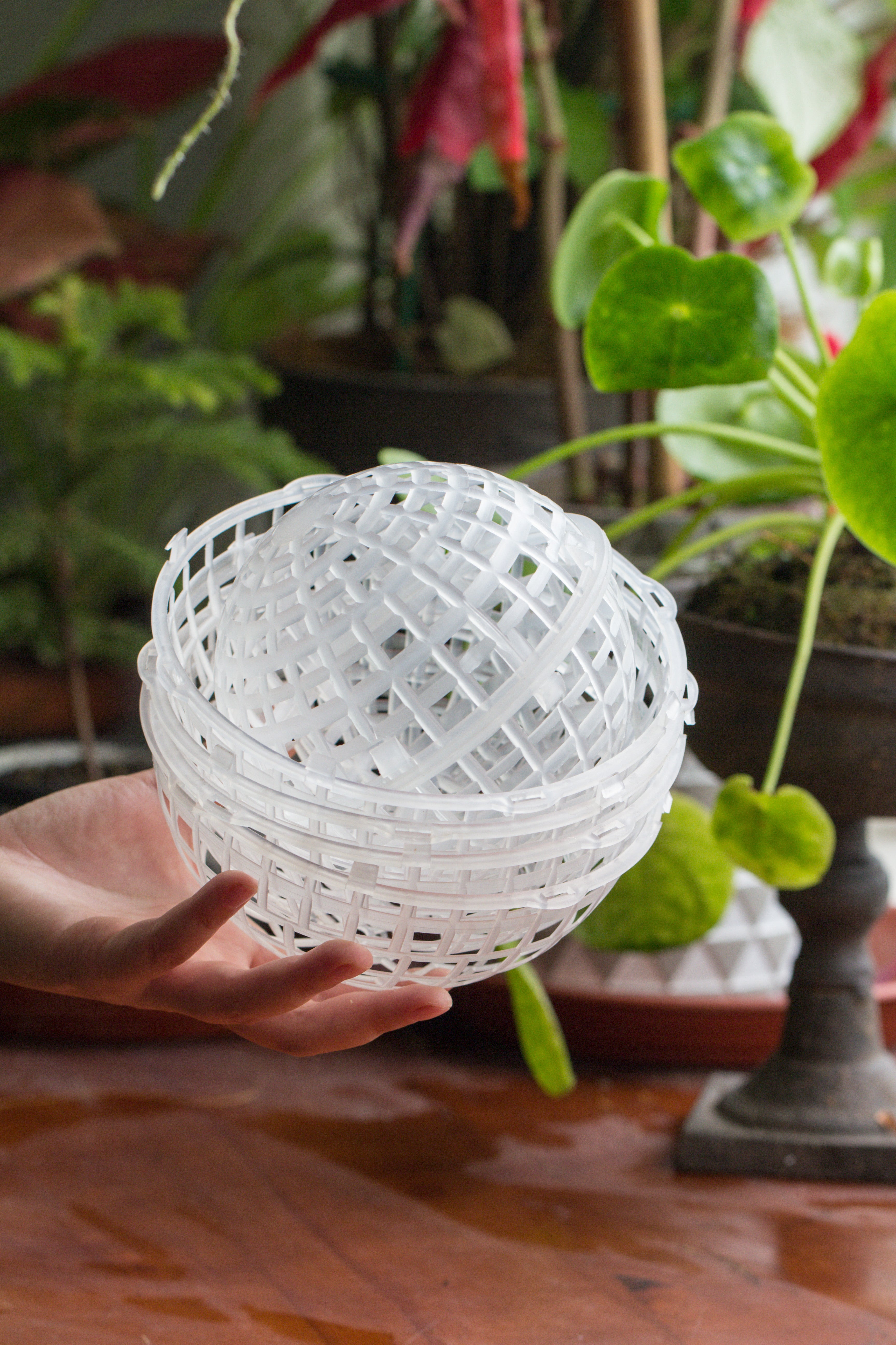 Environment Friendly Detachable Plastic Ball for easy moss ball, hanging planters, wall mounted planting idea, suitable for orchid, Staghorn Fern  10 sets - NCYPgarden