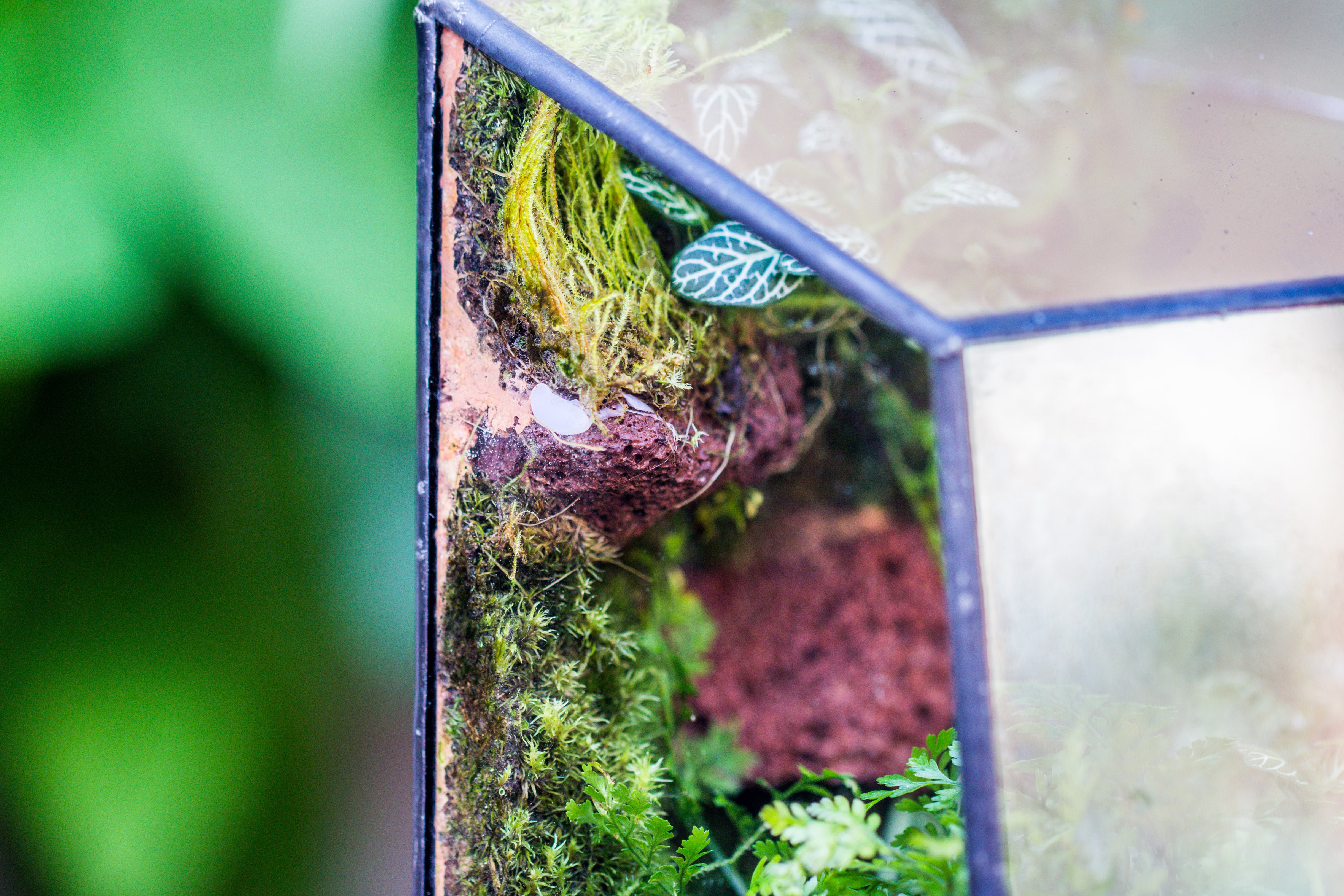 5-8cm Red Horticultural Lava Rock Volcanic Rock for Terrarium, Bonsai Landscape, 500g - NCYPgarden