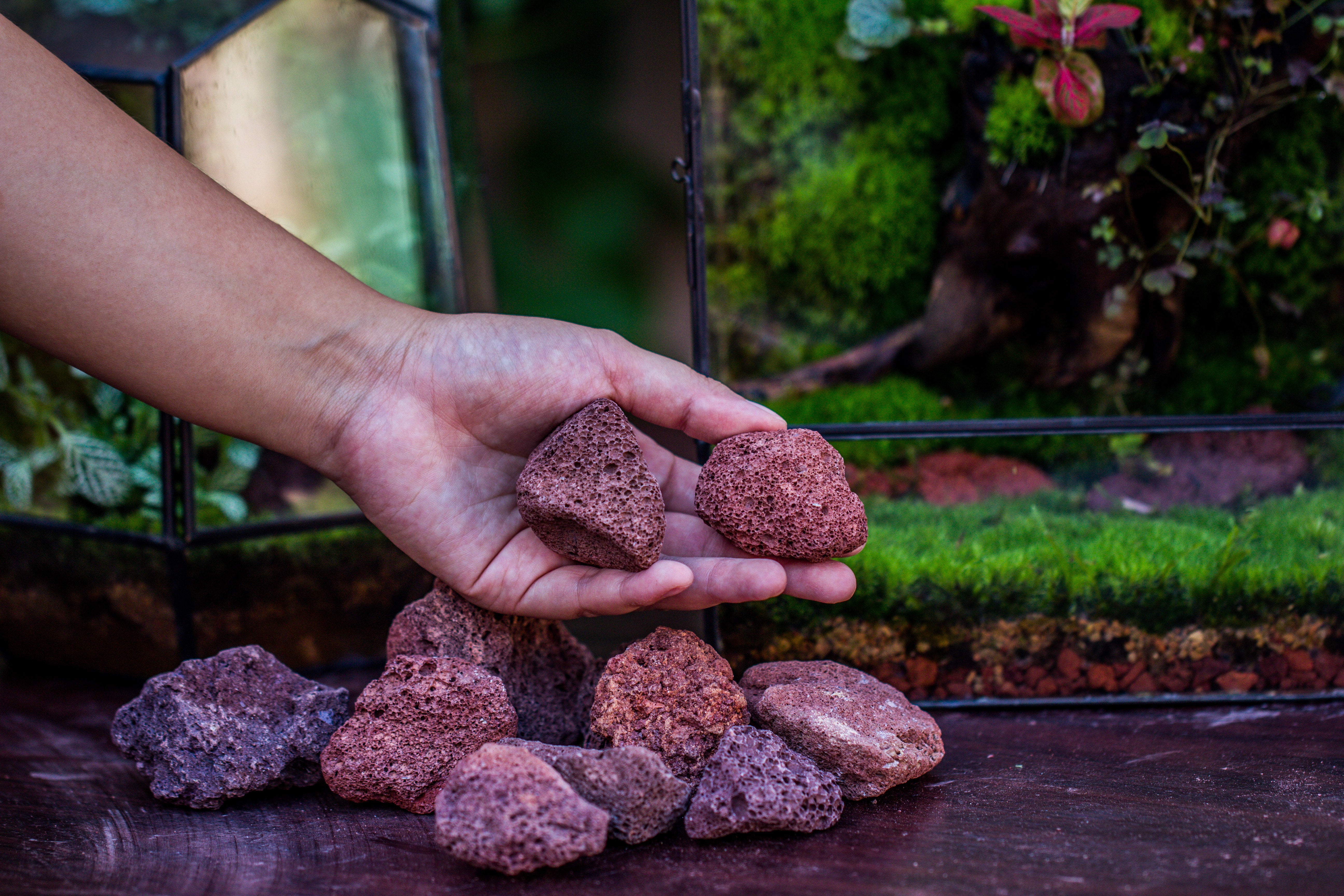 5-8cm Red Horticultural Lava Rock Volcanic Rock for Terrarium, Bonsai Landscape, 500g - NCYPgarden