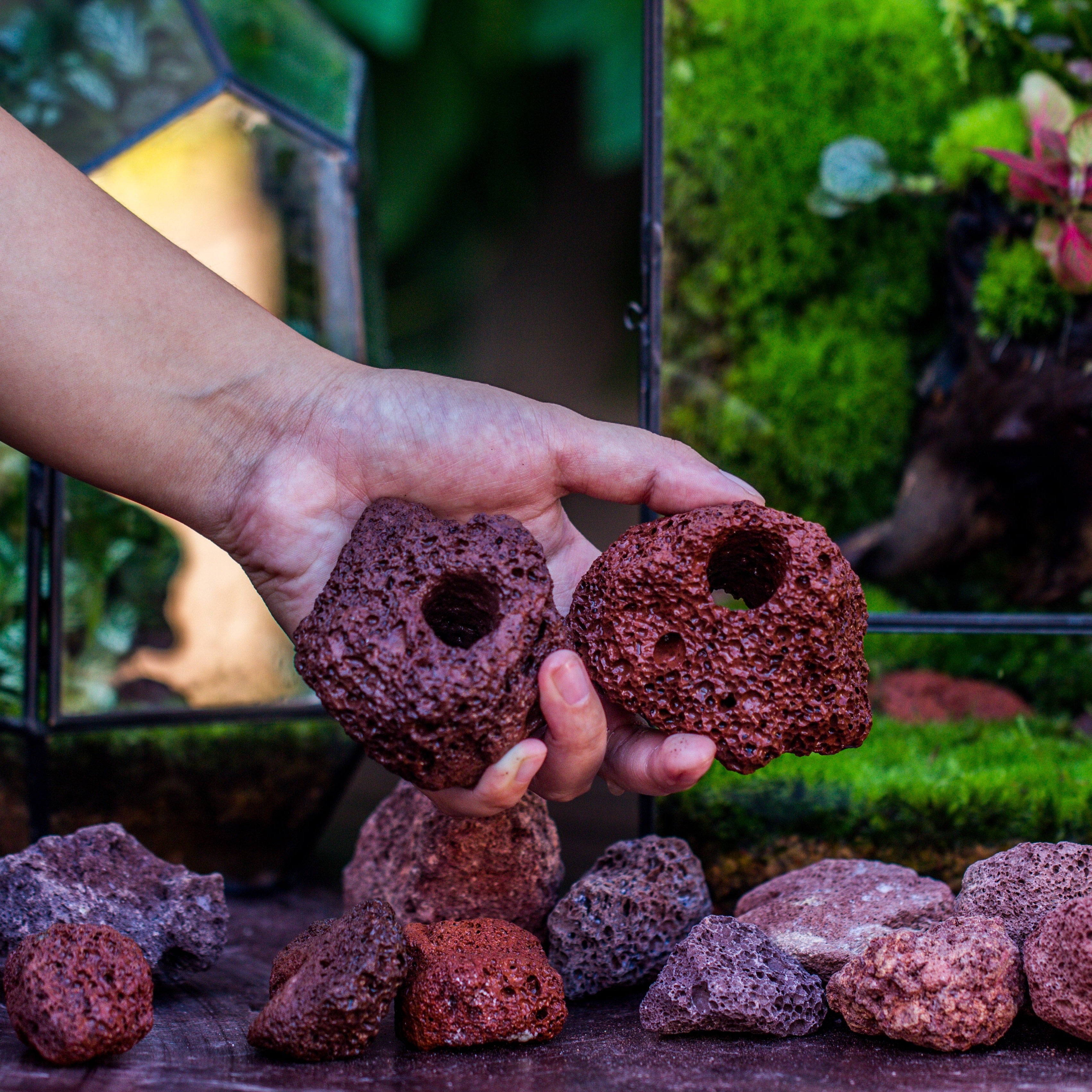 5-8cm Red Horticultural Lava Rock Volcanic Rock for Terrarium, Bonsai Landscape, 500g - NCYPgarden