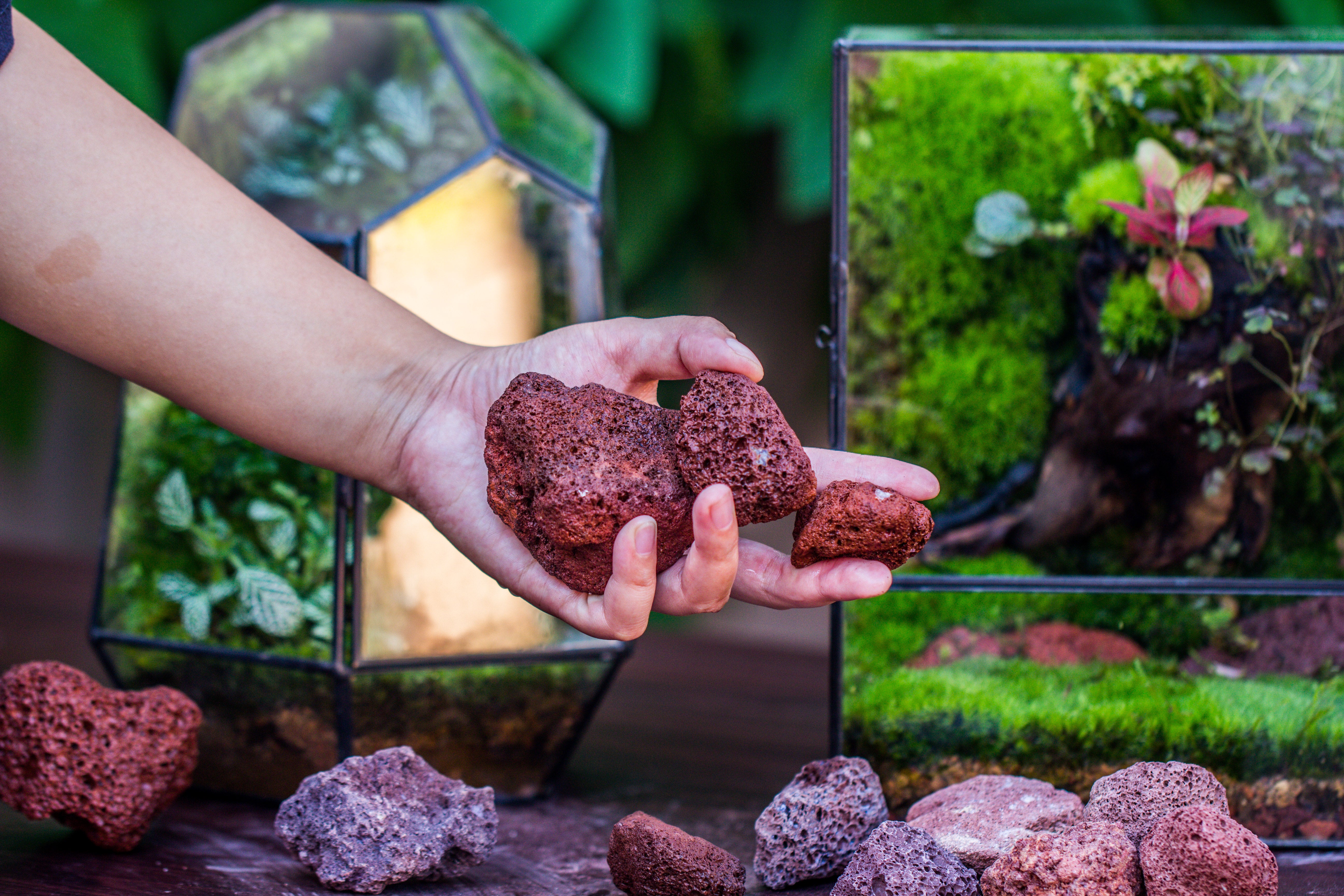 5-8cm Red Horticultural Lava Rock Volcanic Rock for Terrarium, Bonsai Landscape, 500g - NCYPgarden