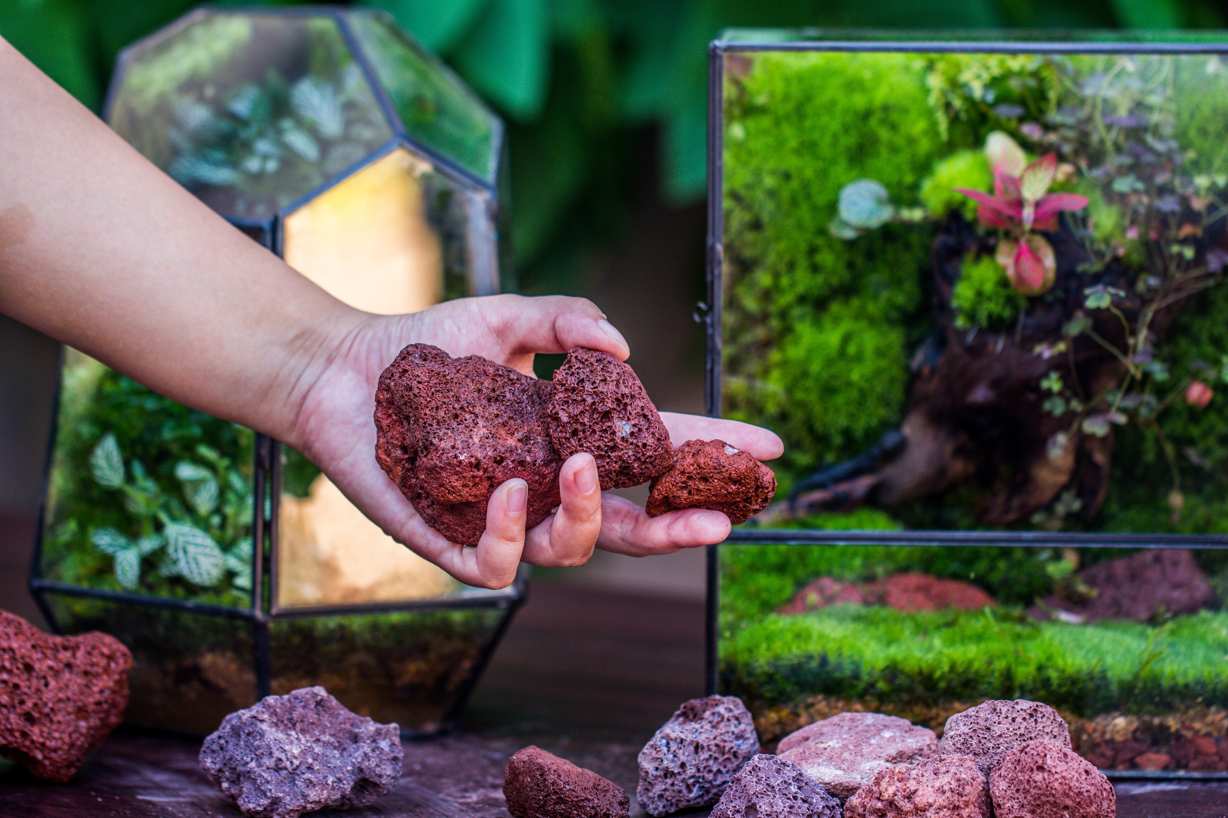 5-8cm Red Horticultural Lava Rock Volcanic Rock for Terrarium, Bonsai Landscape, 500g - NCYPgarden