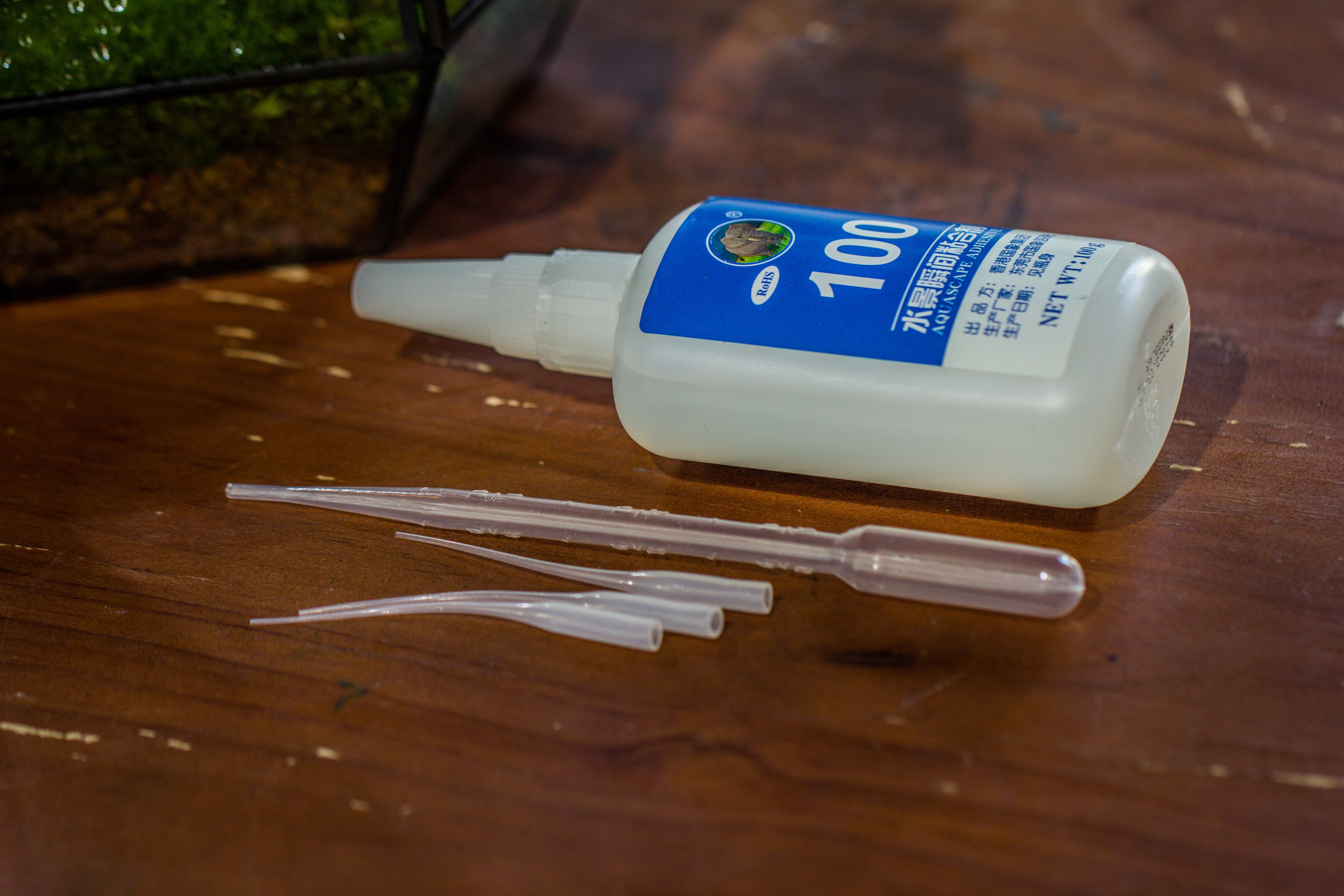 Instant Adhesive glue for stone, rockes, driftwood, suitable for landscape in terrarium, aquarium, paludarium, vivarium - NCYPgarden