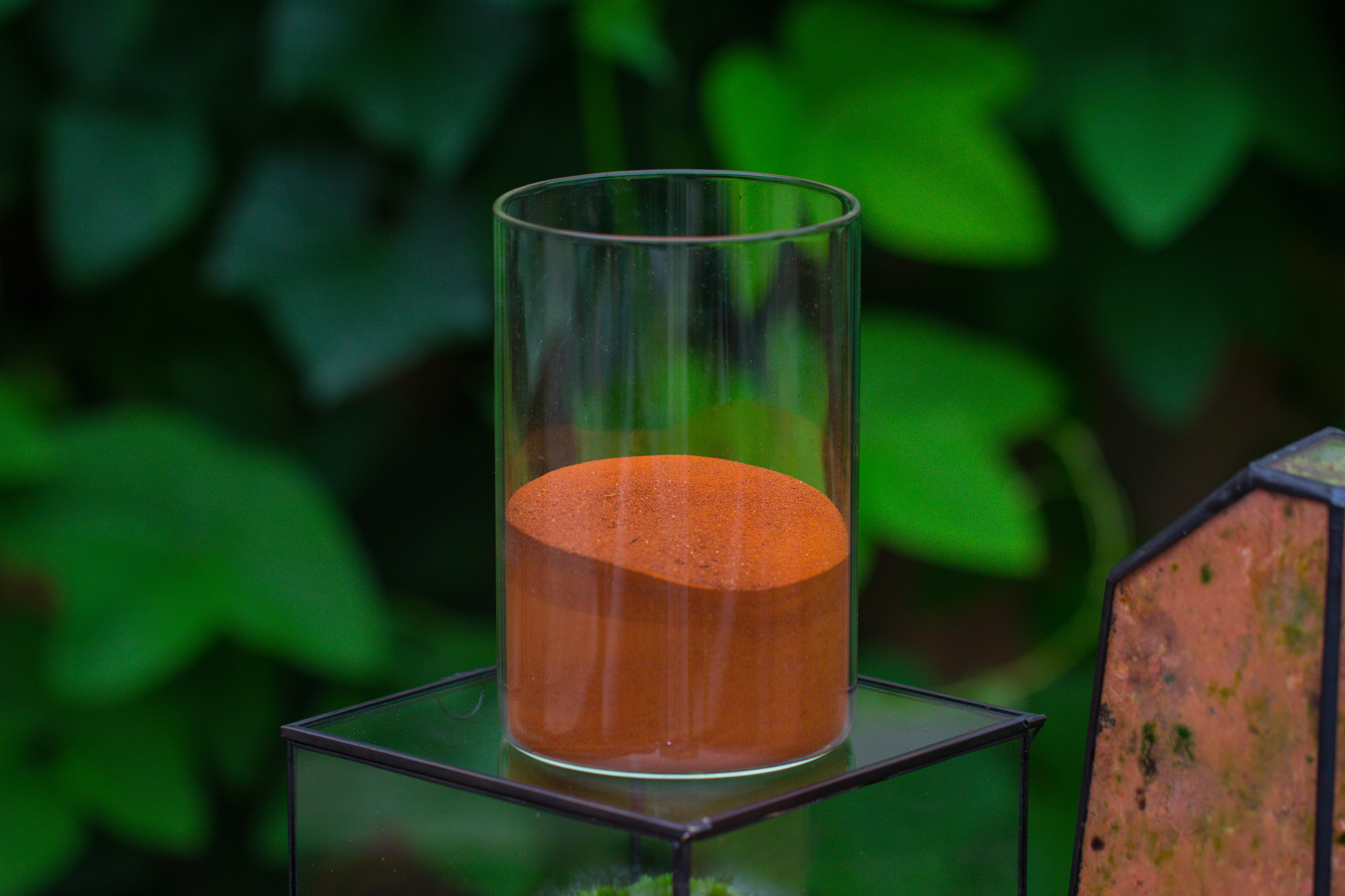 Rain Forest Sticky Red Dirt Soil for DIY Moss Wall, Plant Moss / plants on the Wall, vertical landscape, vivarium, Terrarium - NCYPgarden